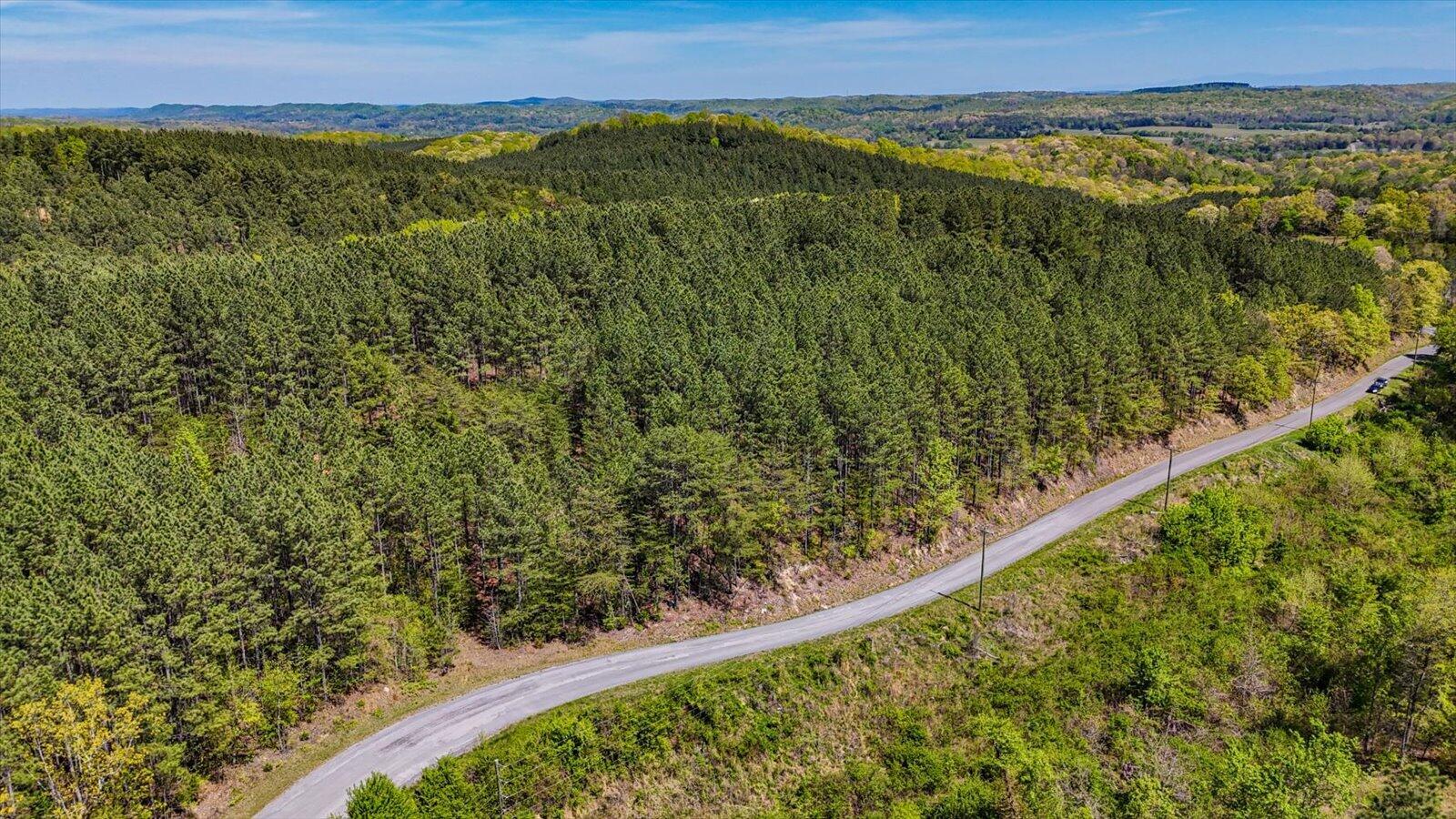 15.12 Acre Rynes Road