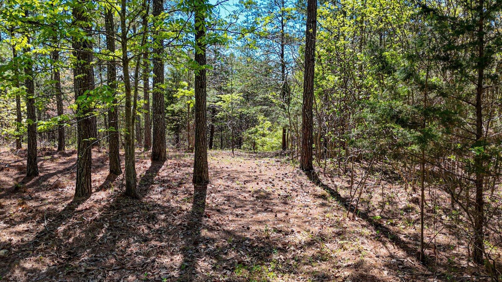 15.12 Acre Rynes Road