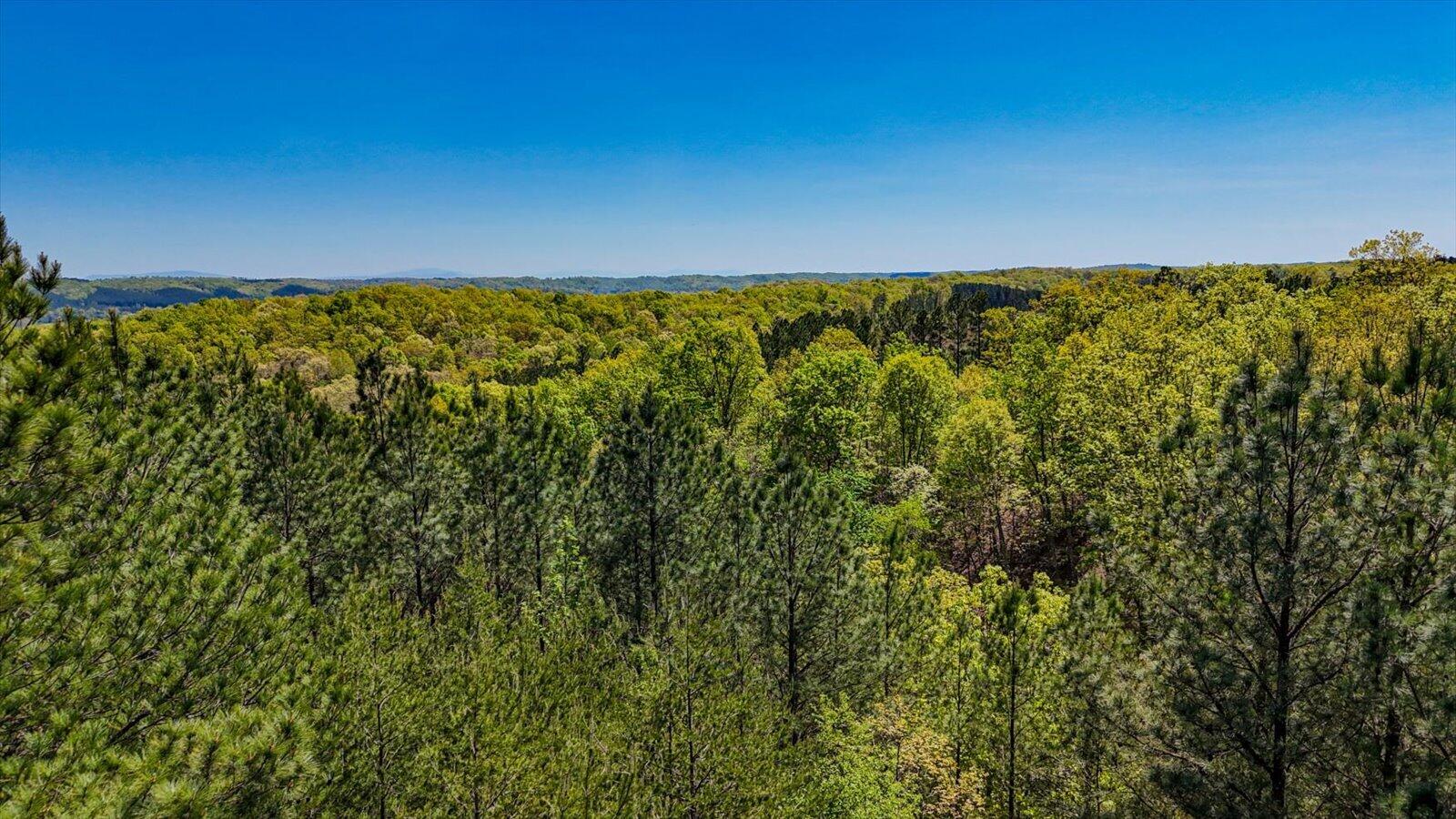 15.12 Acre Rynes Road