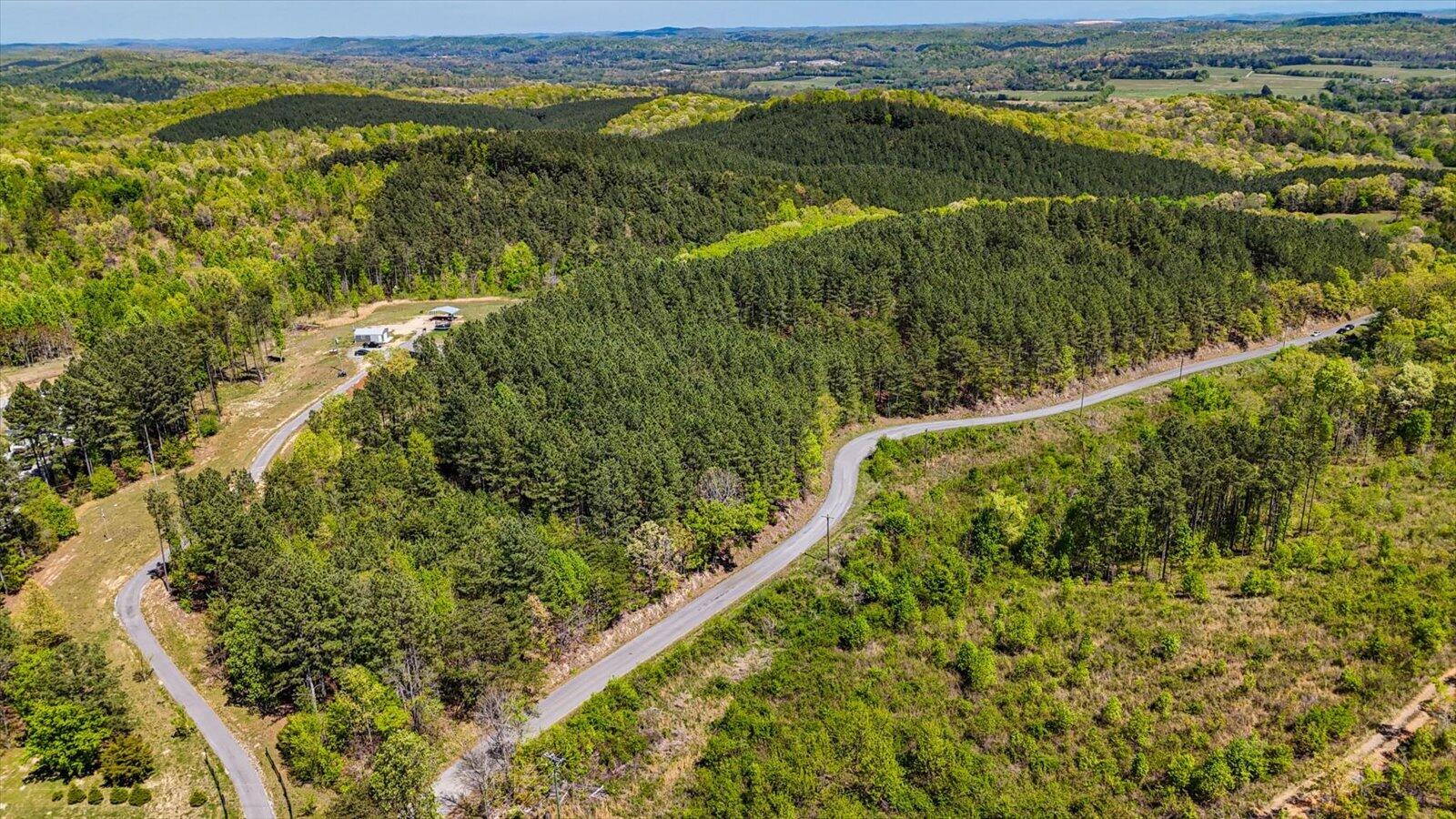 15.12 Acre Rynes Road