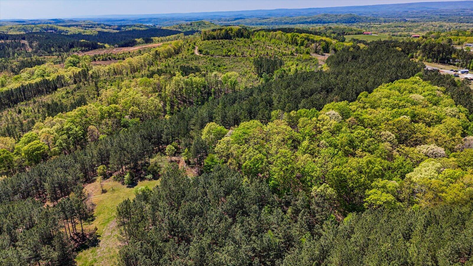 15.12 Acre Rynes Road