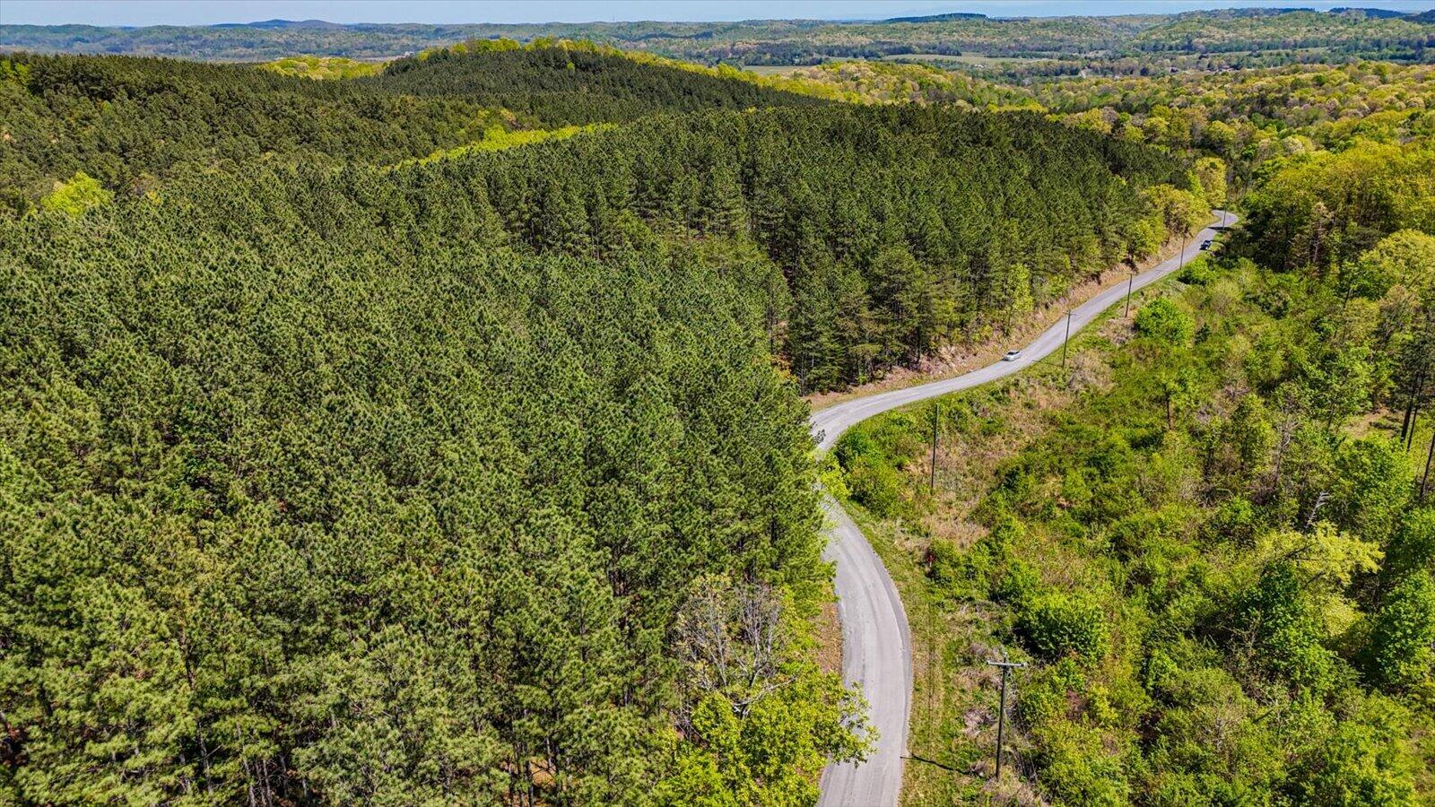 15.12 Acre Rynes Road