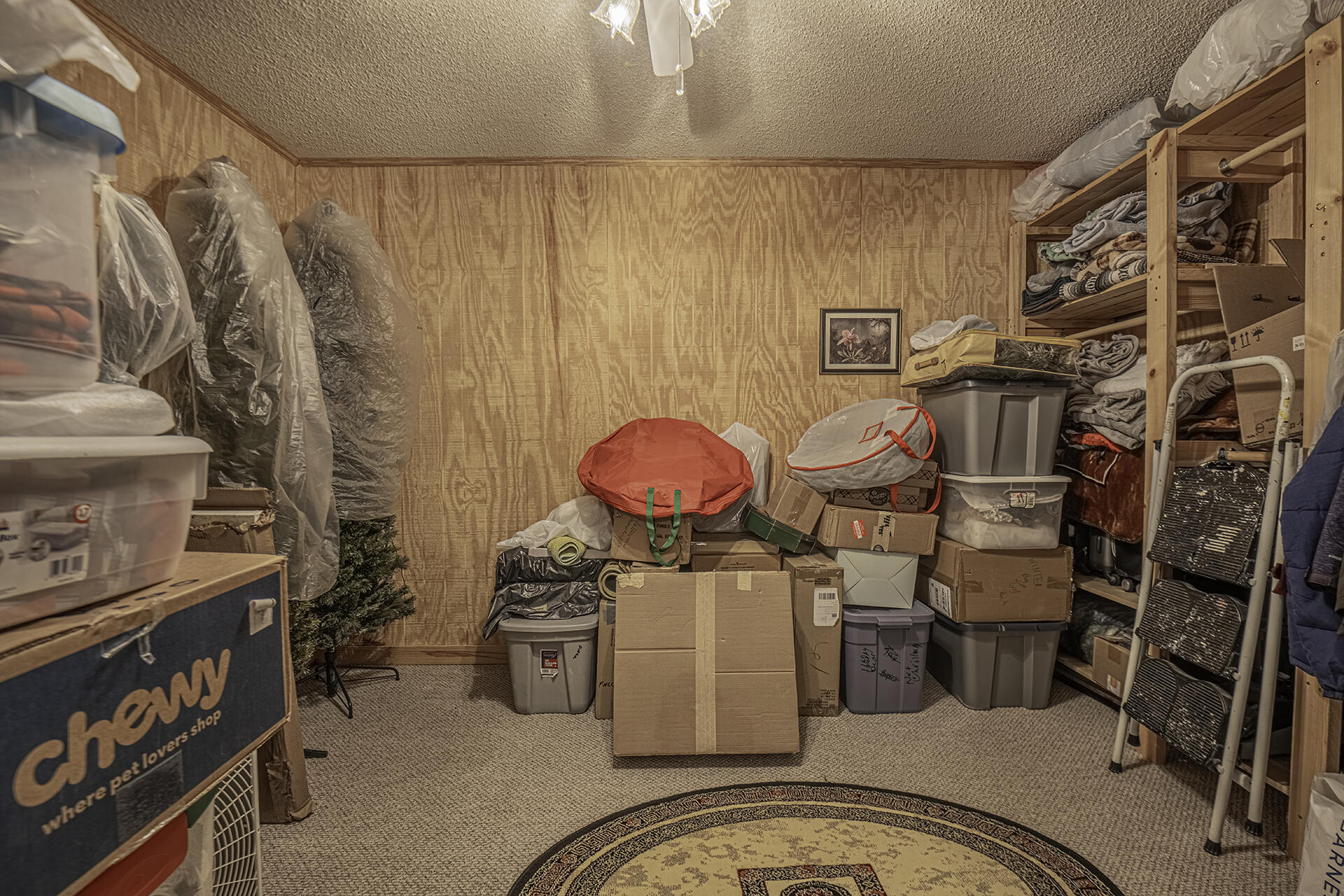 394 Stanley Drive
