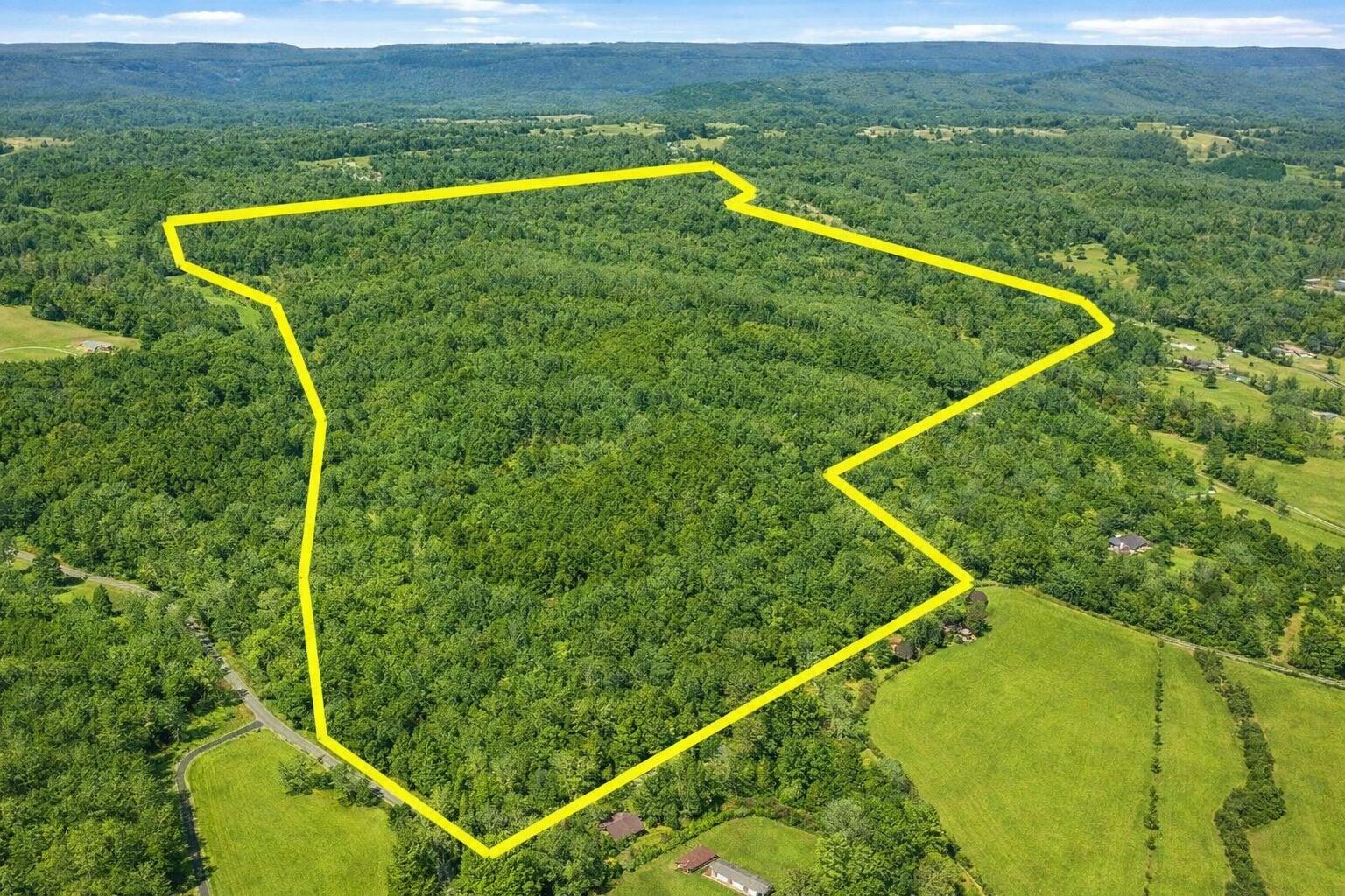 --- Andy Thomas Rd Road, 187