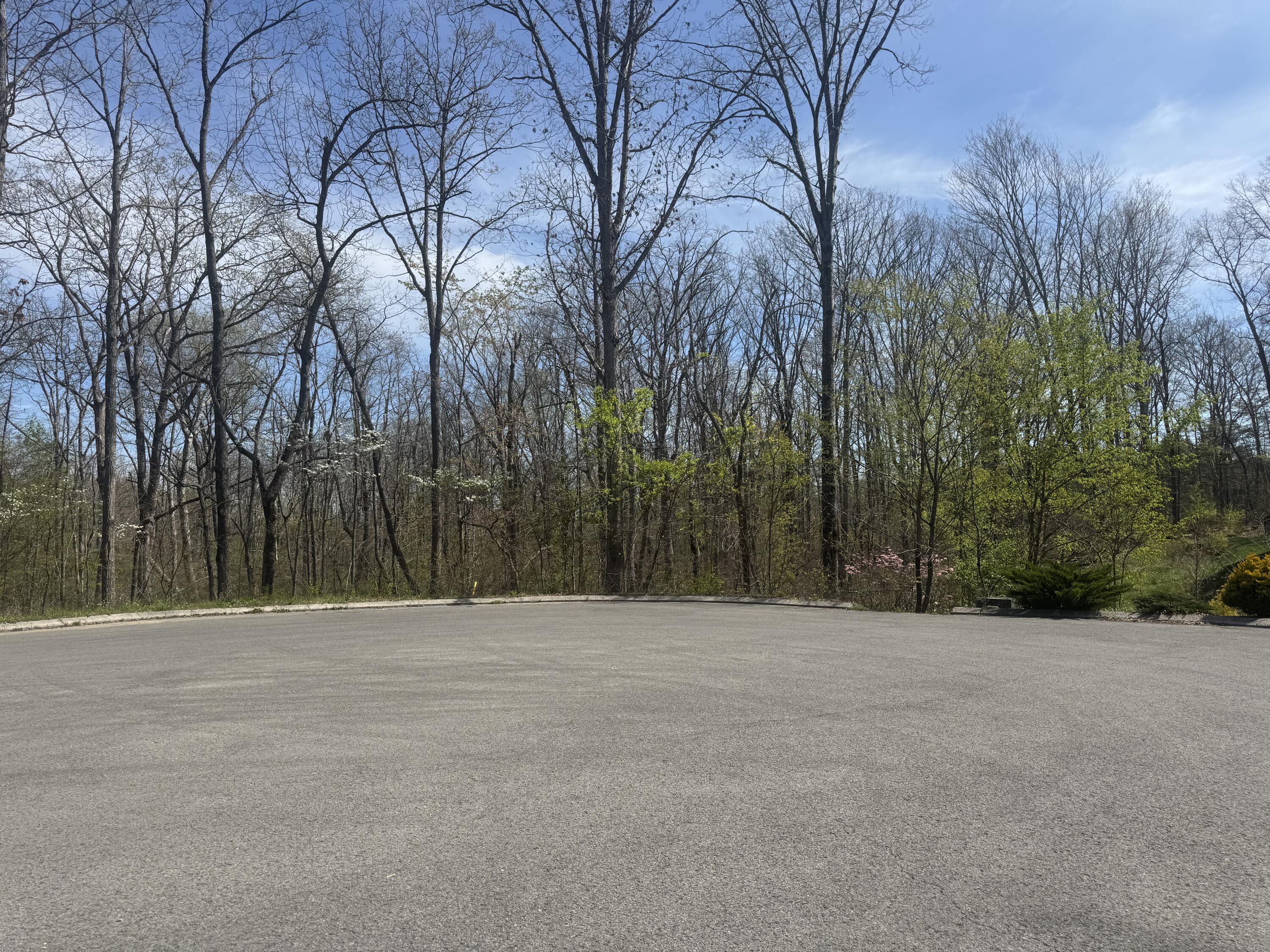 2401 Anchor Trail, 81