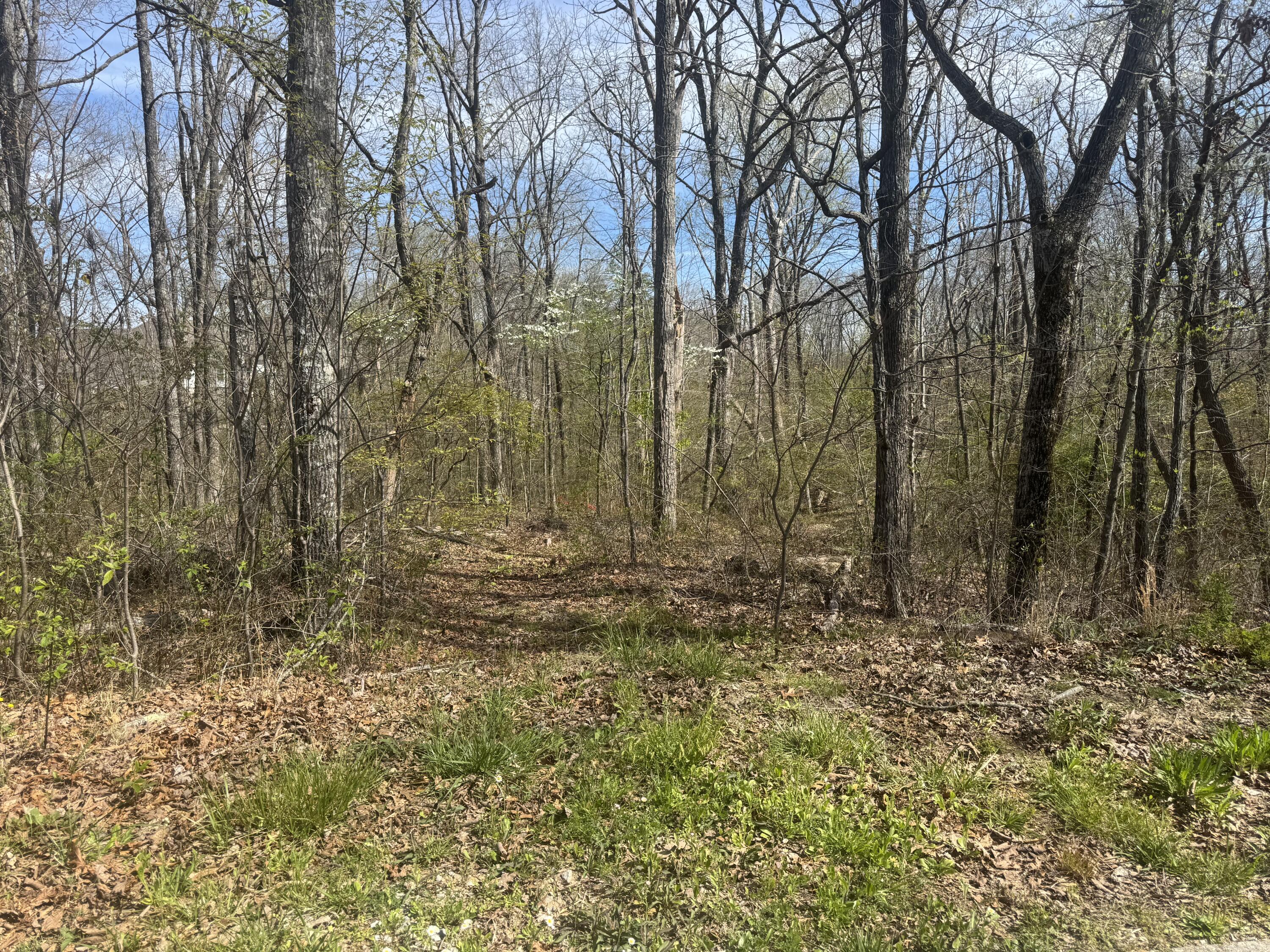 2401 Anchor Trail, 81