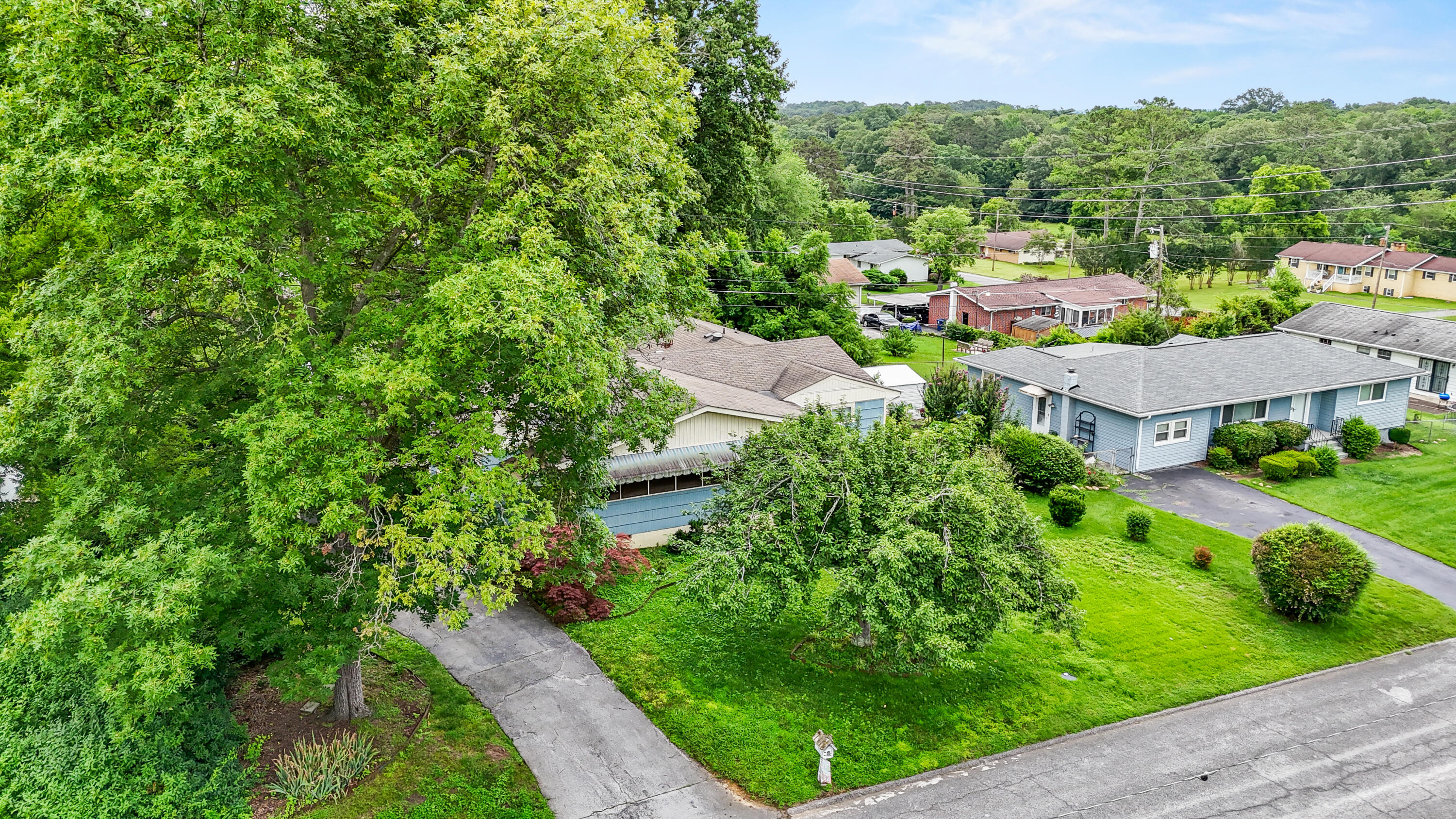 3841 Rollingwood Drive