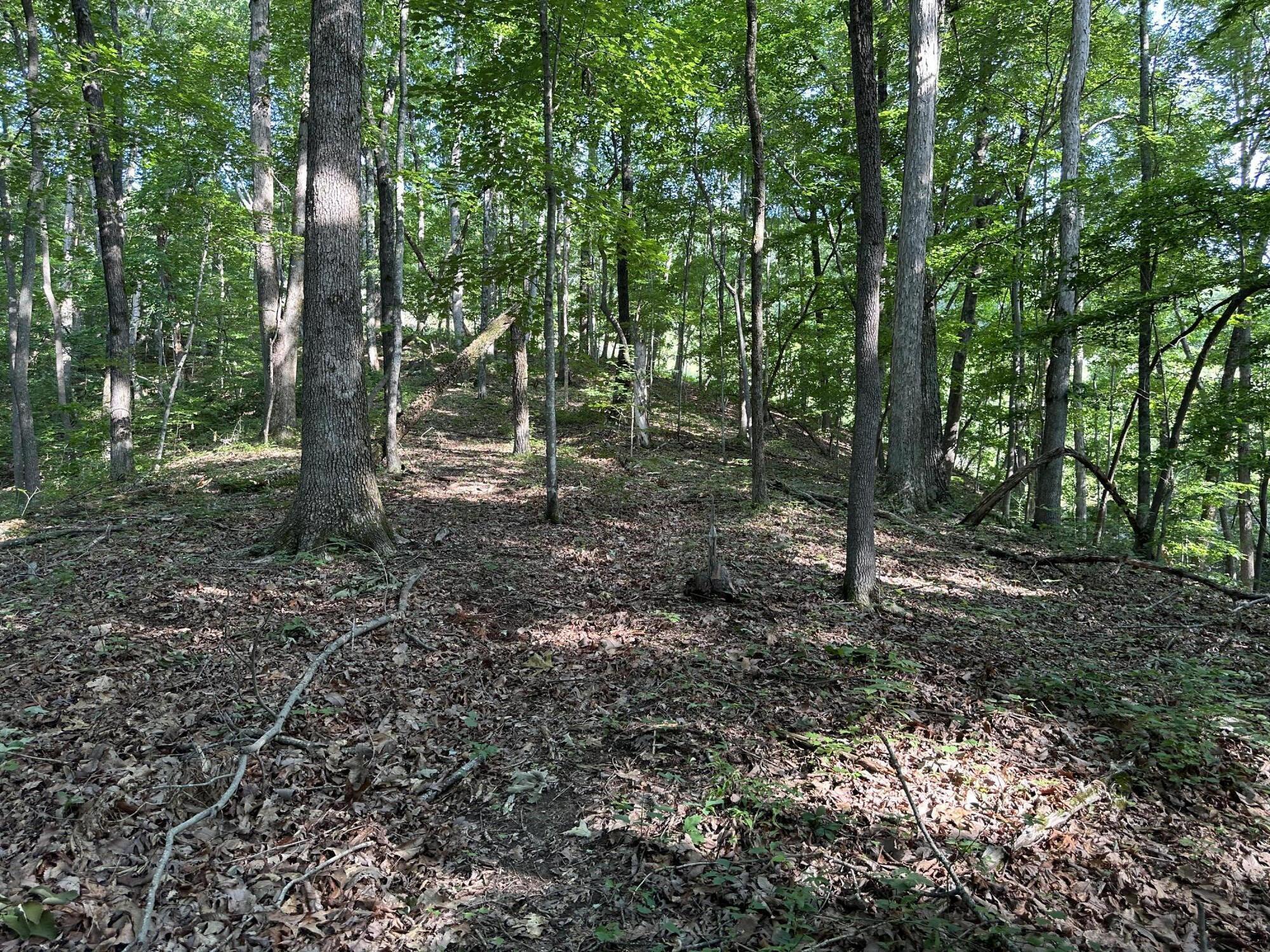 3692 Pan Gap Circle