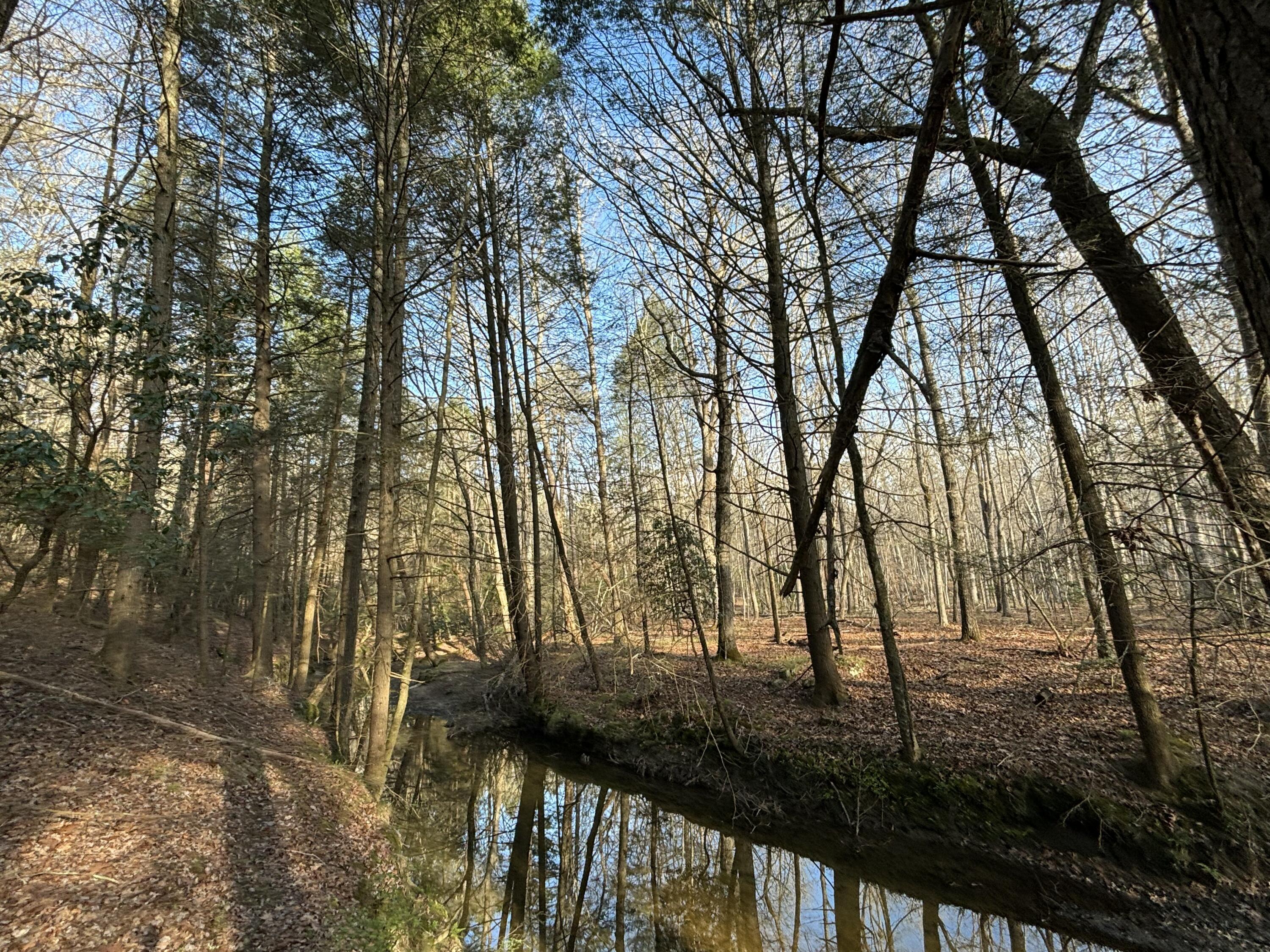 0 Clear Brooks Drive, Lot 74