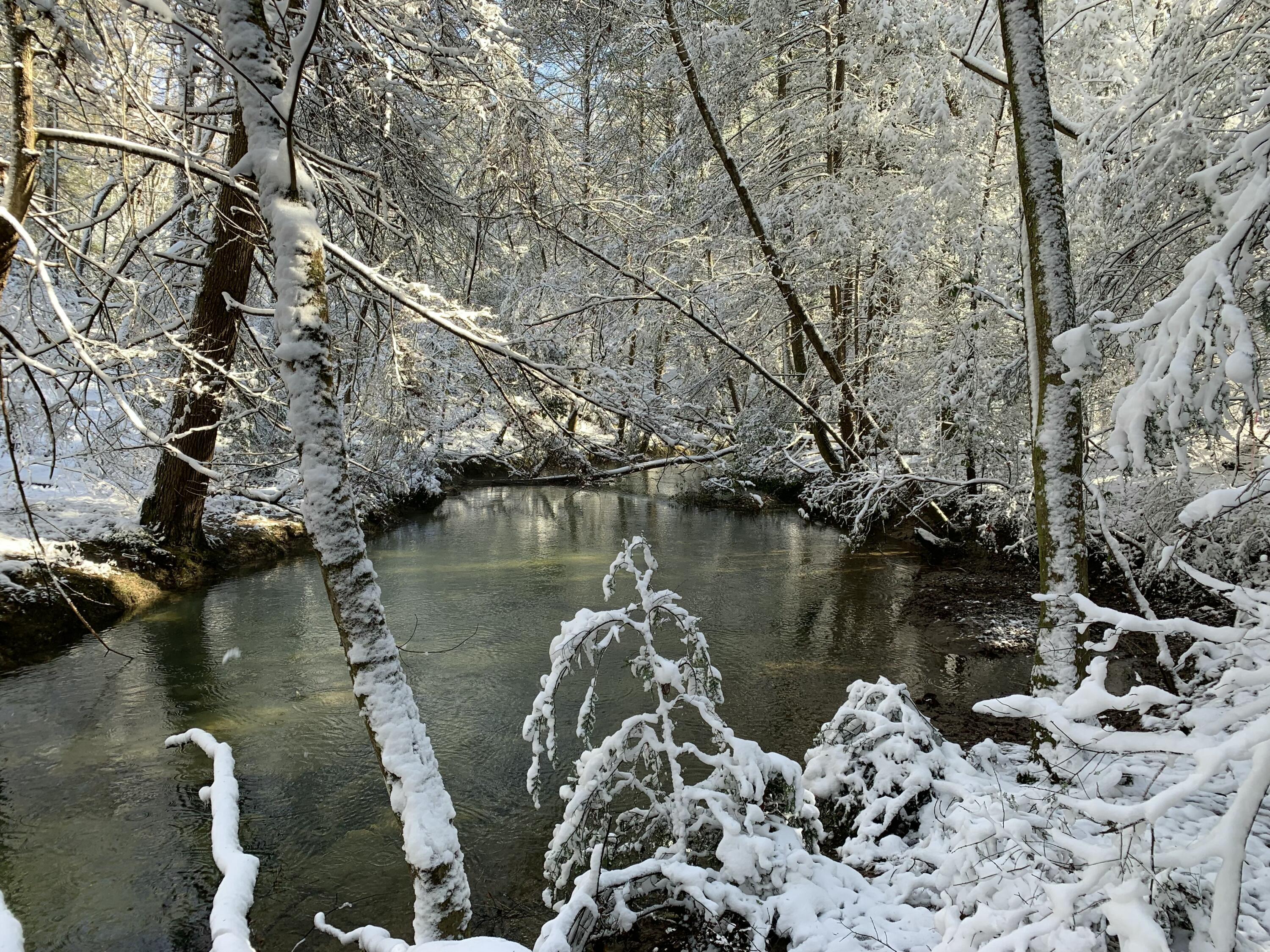 0 Clear Brooks Drive, Lot 74