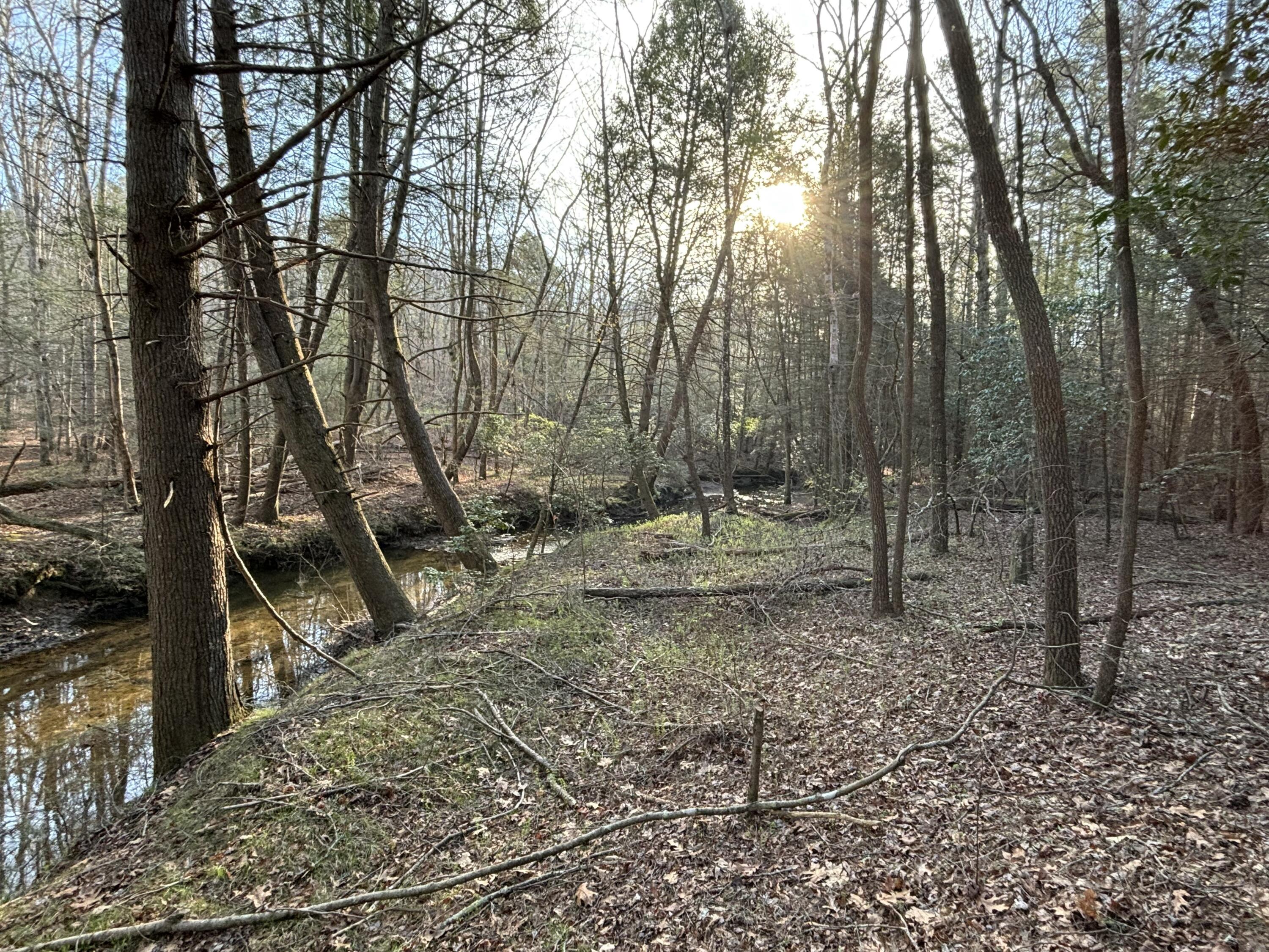 0 Clear Brooks Drive, Lot 74