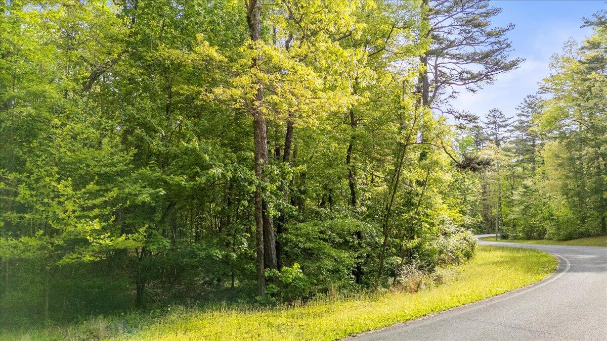 0 Clear Brooks Drive, Lot 74