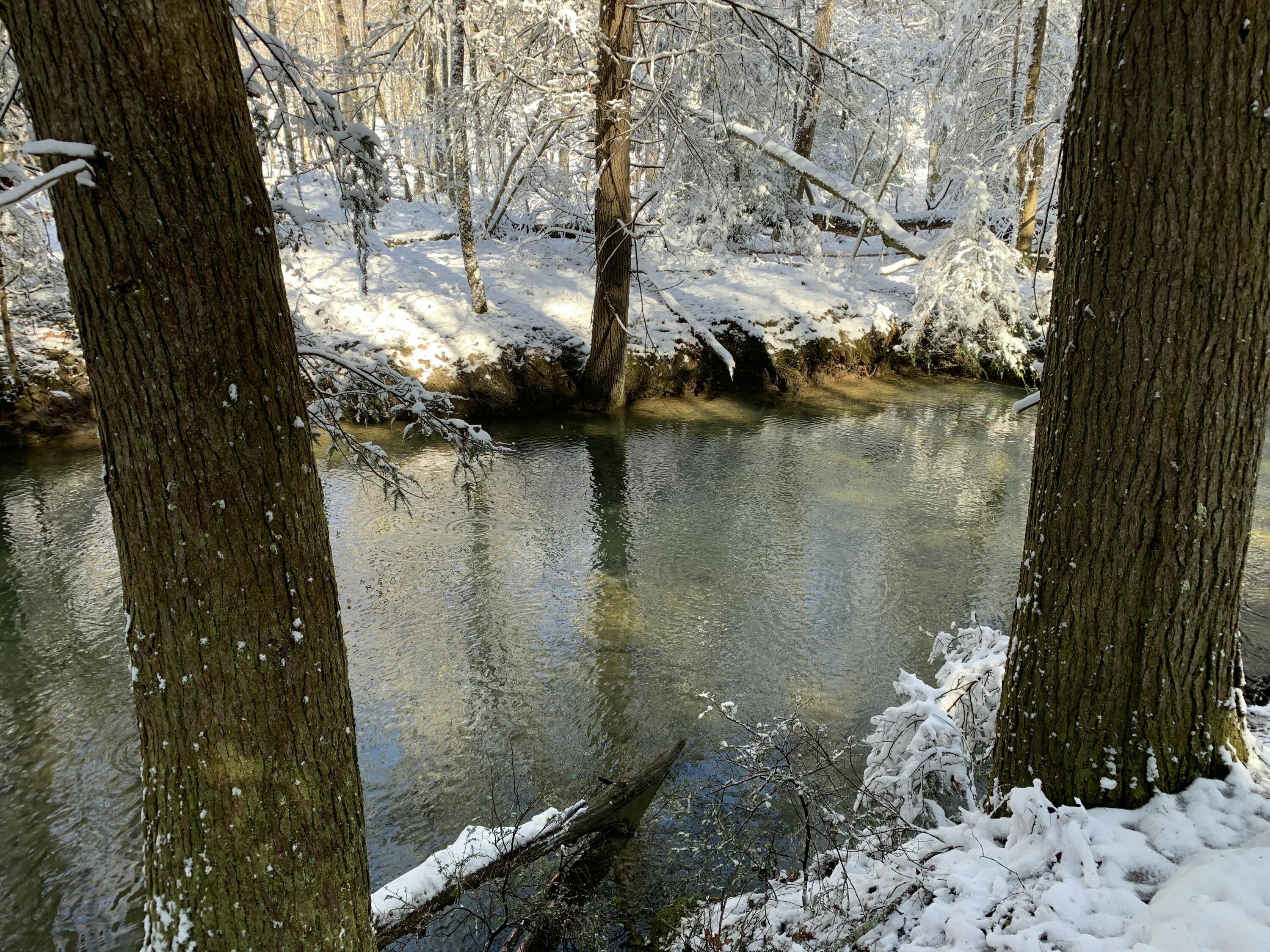 0 Clear Brooks Drive, Lot 74