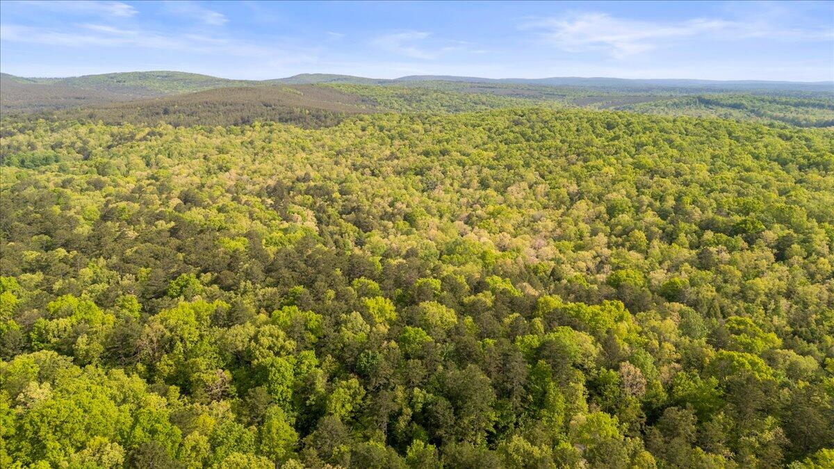 0 Clear Brooks Drive, Lot 74