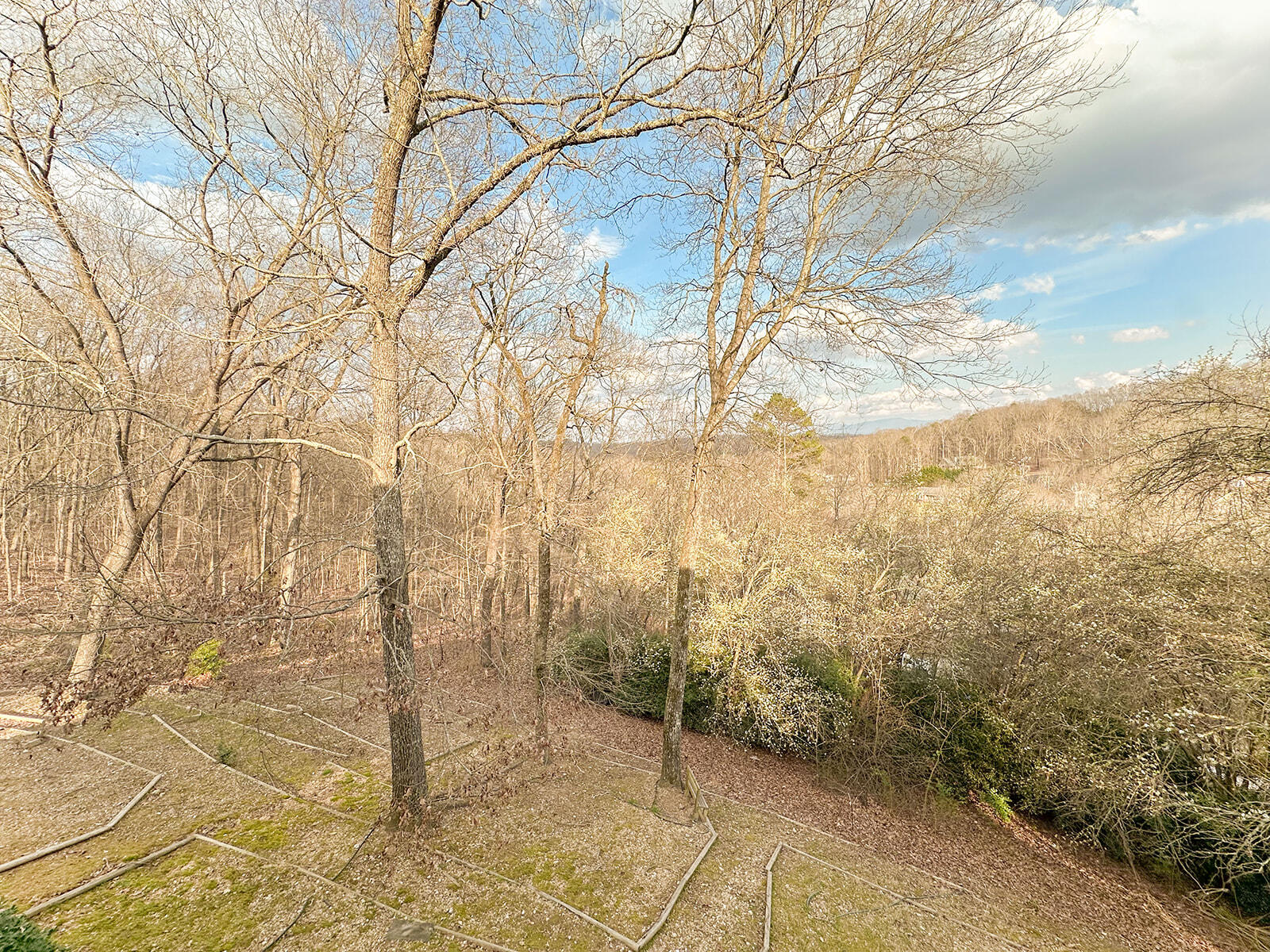 1239 Arabian Drive