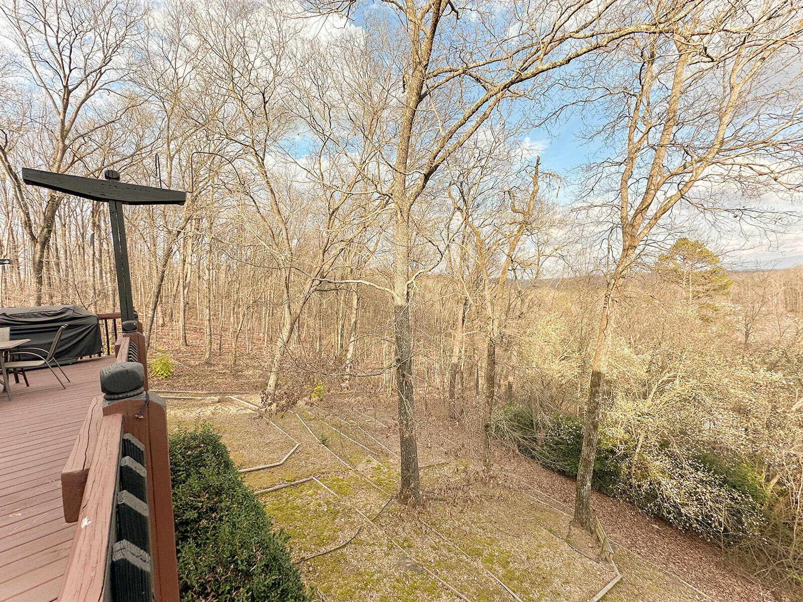 1239 Arabian Drive