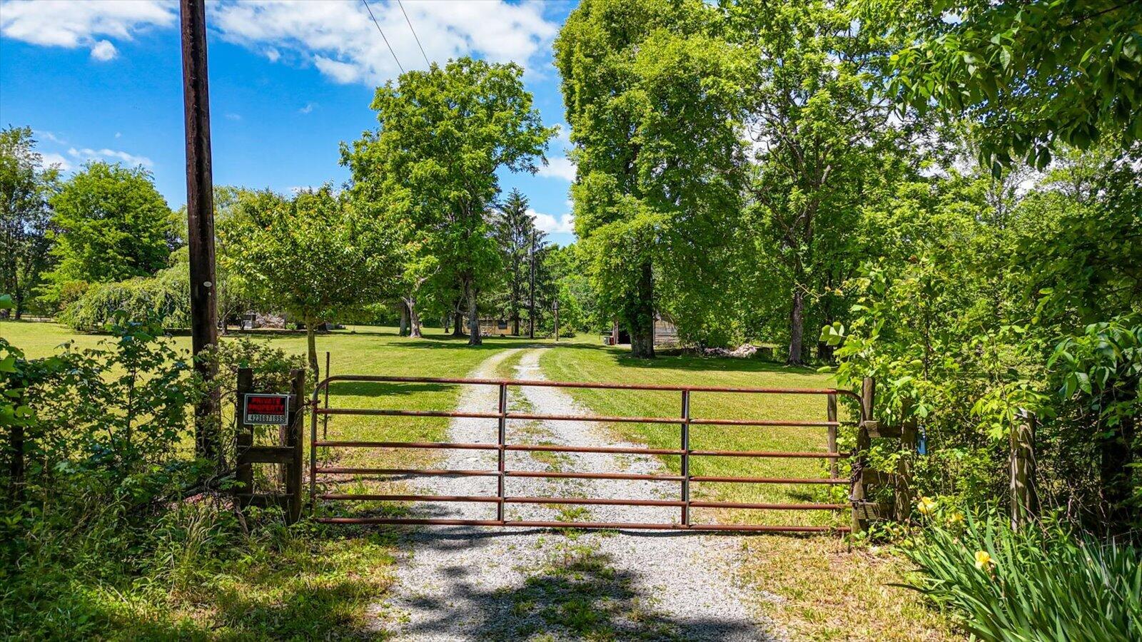 321 Dillon Drive