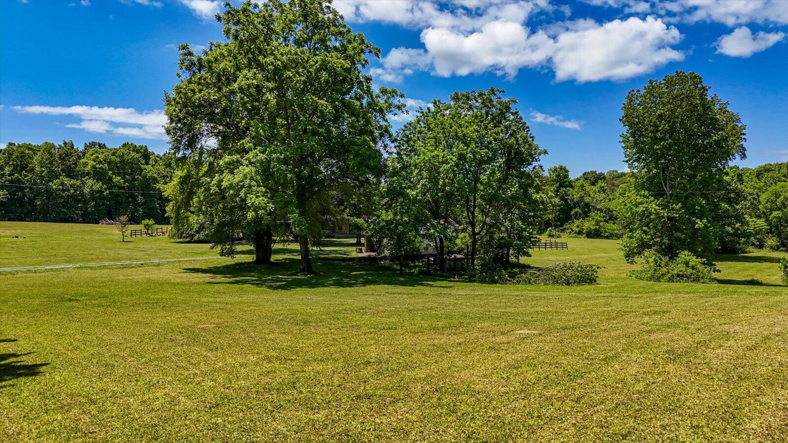 321 Dillon Drive