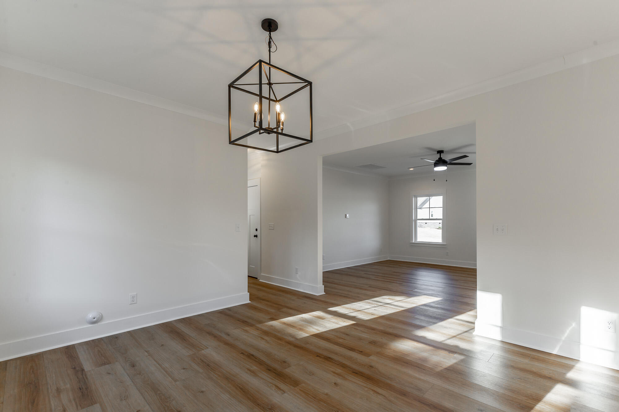 859 Live Oak Road