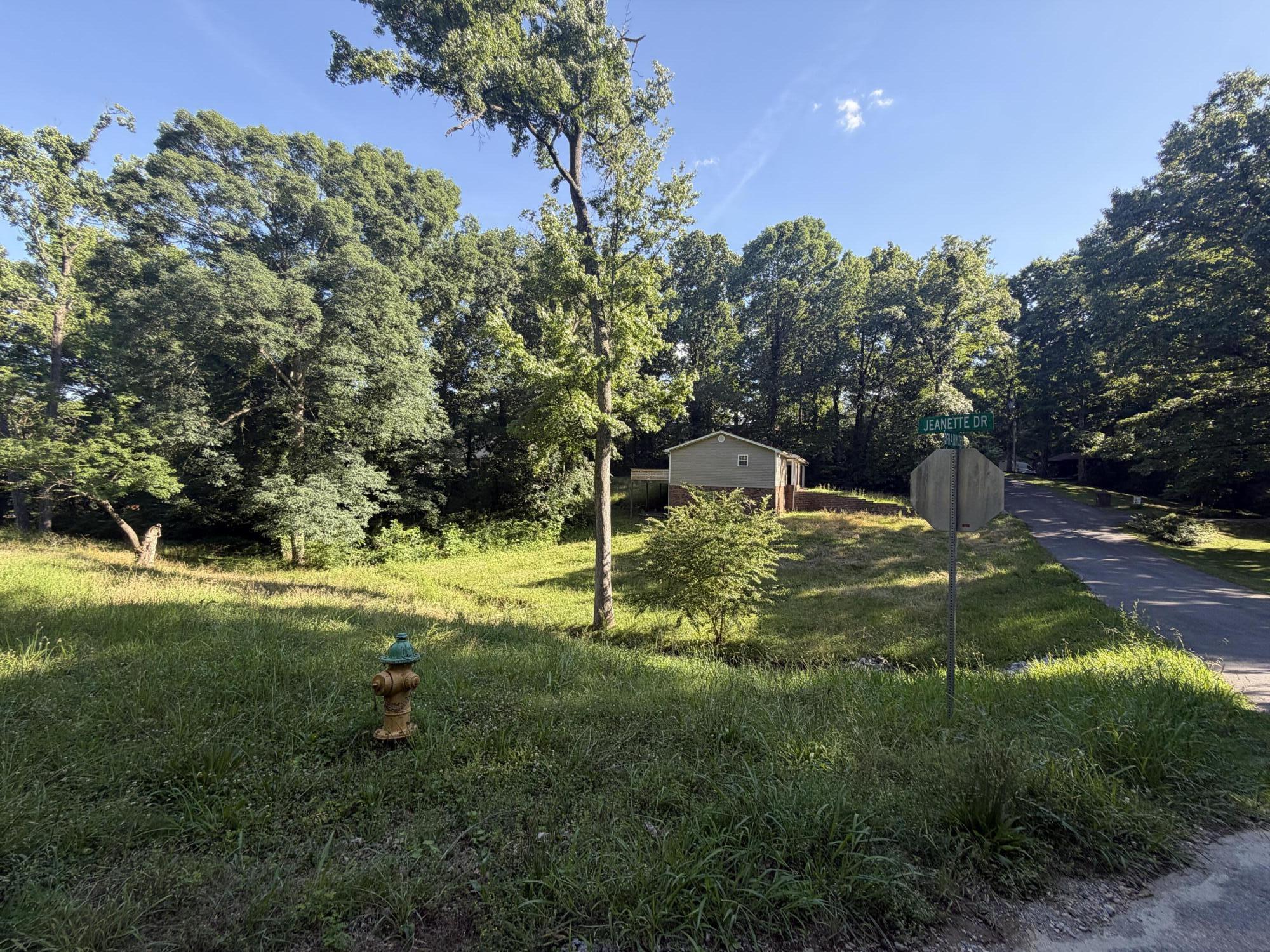 106 Briarwood Drive
