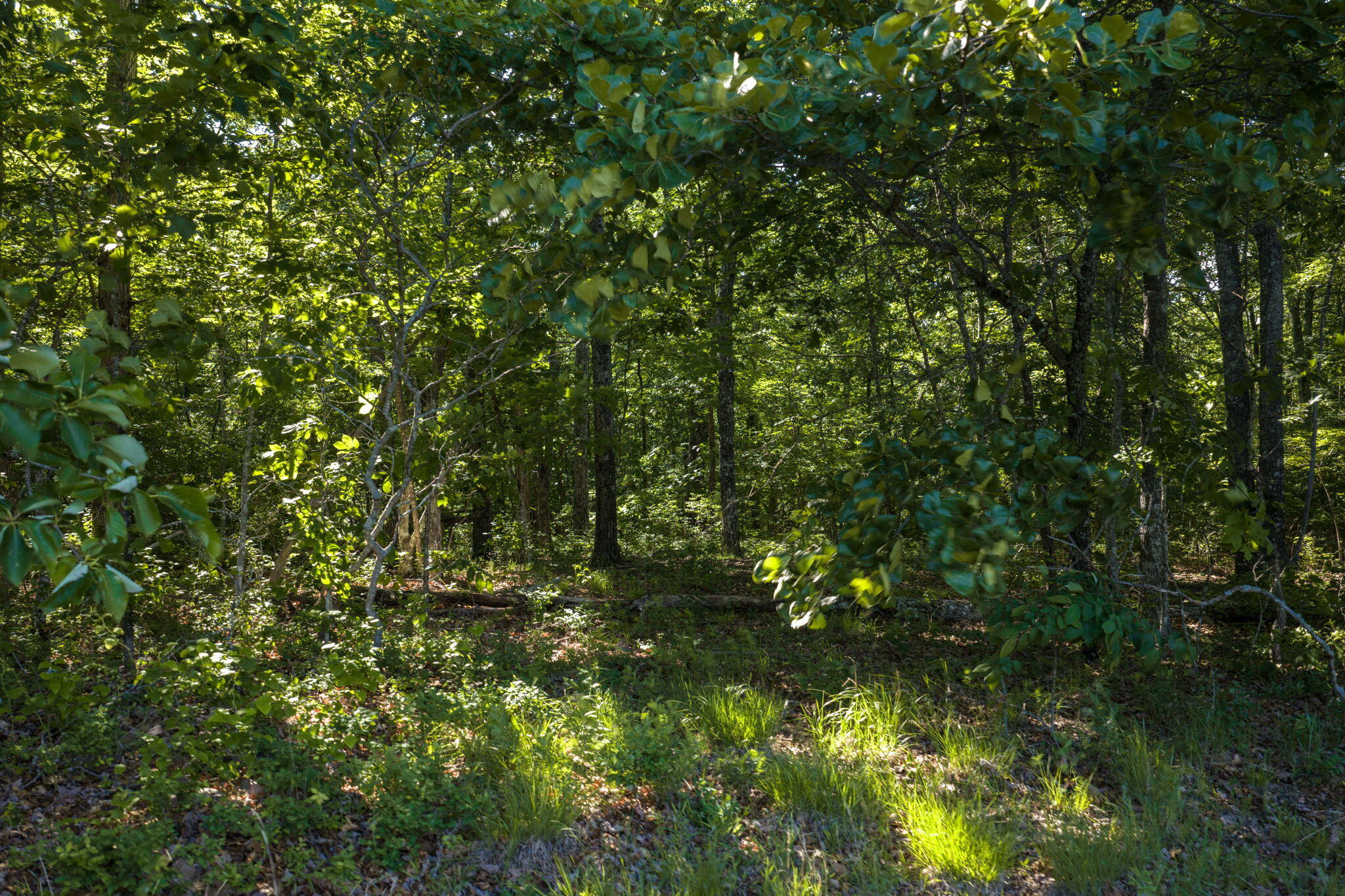 Lot 13 Horseshoe Lane
