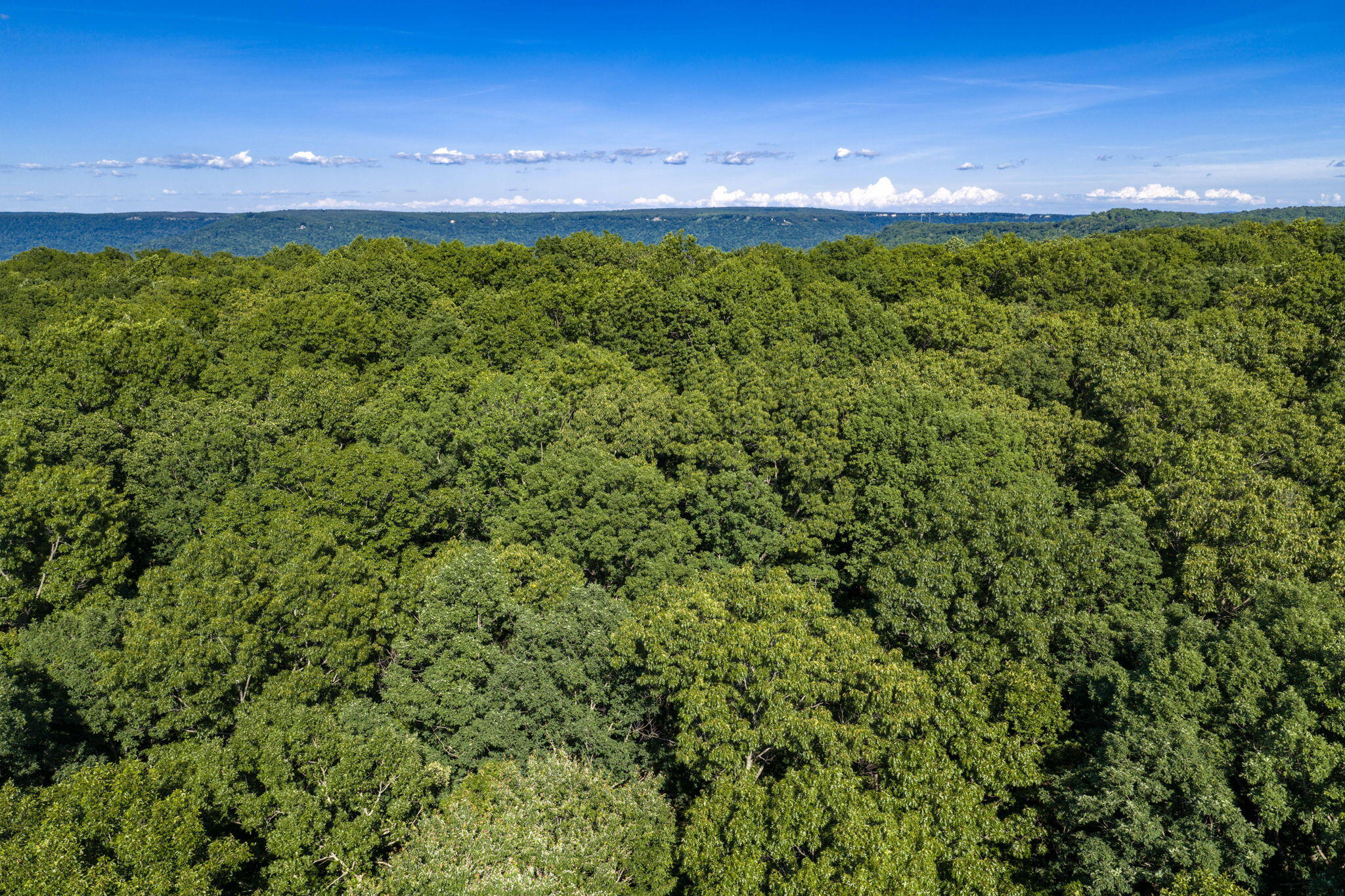 Lot 13 Horseshoe Lane