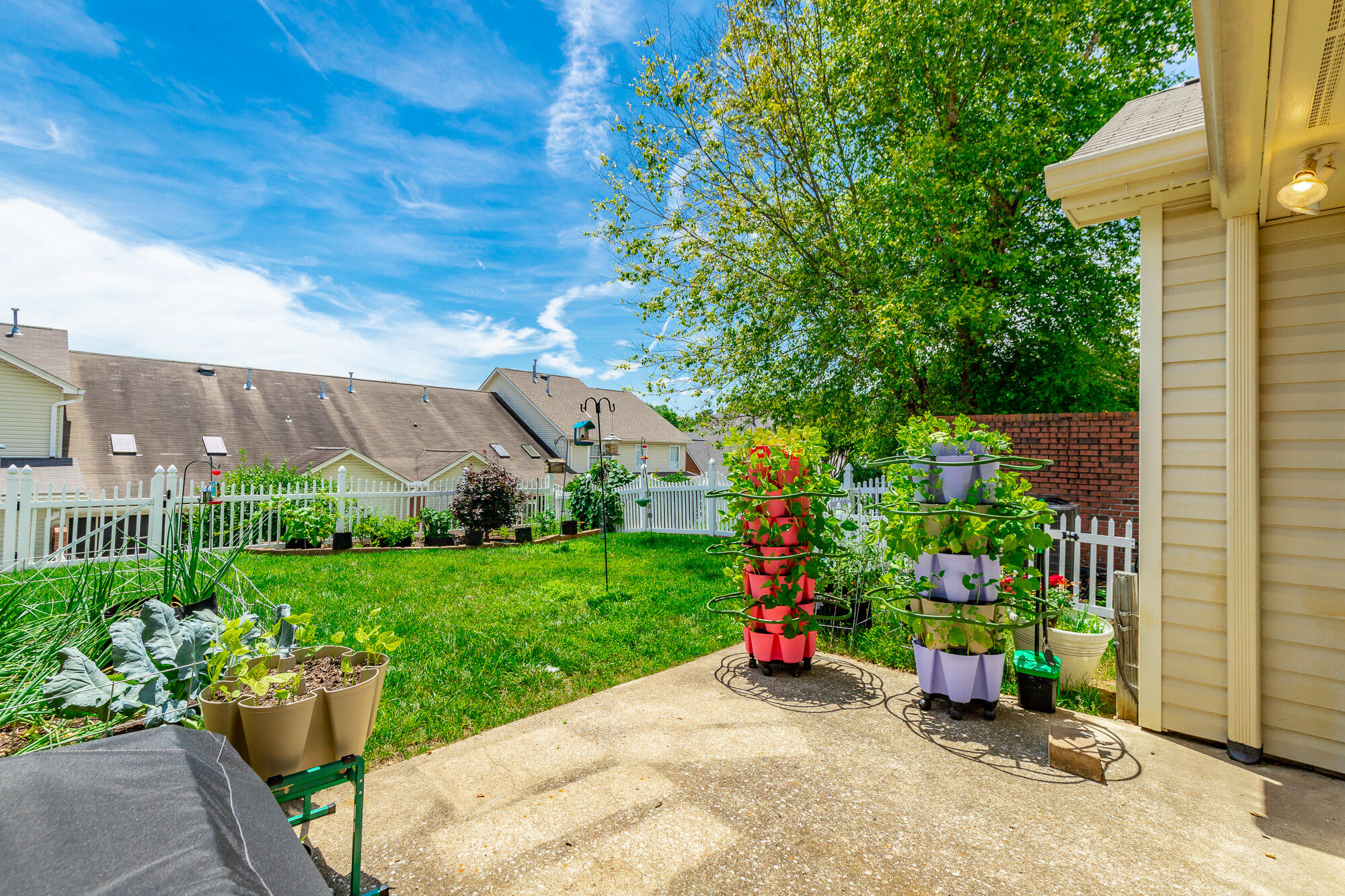 2414 Columbine Trail