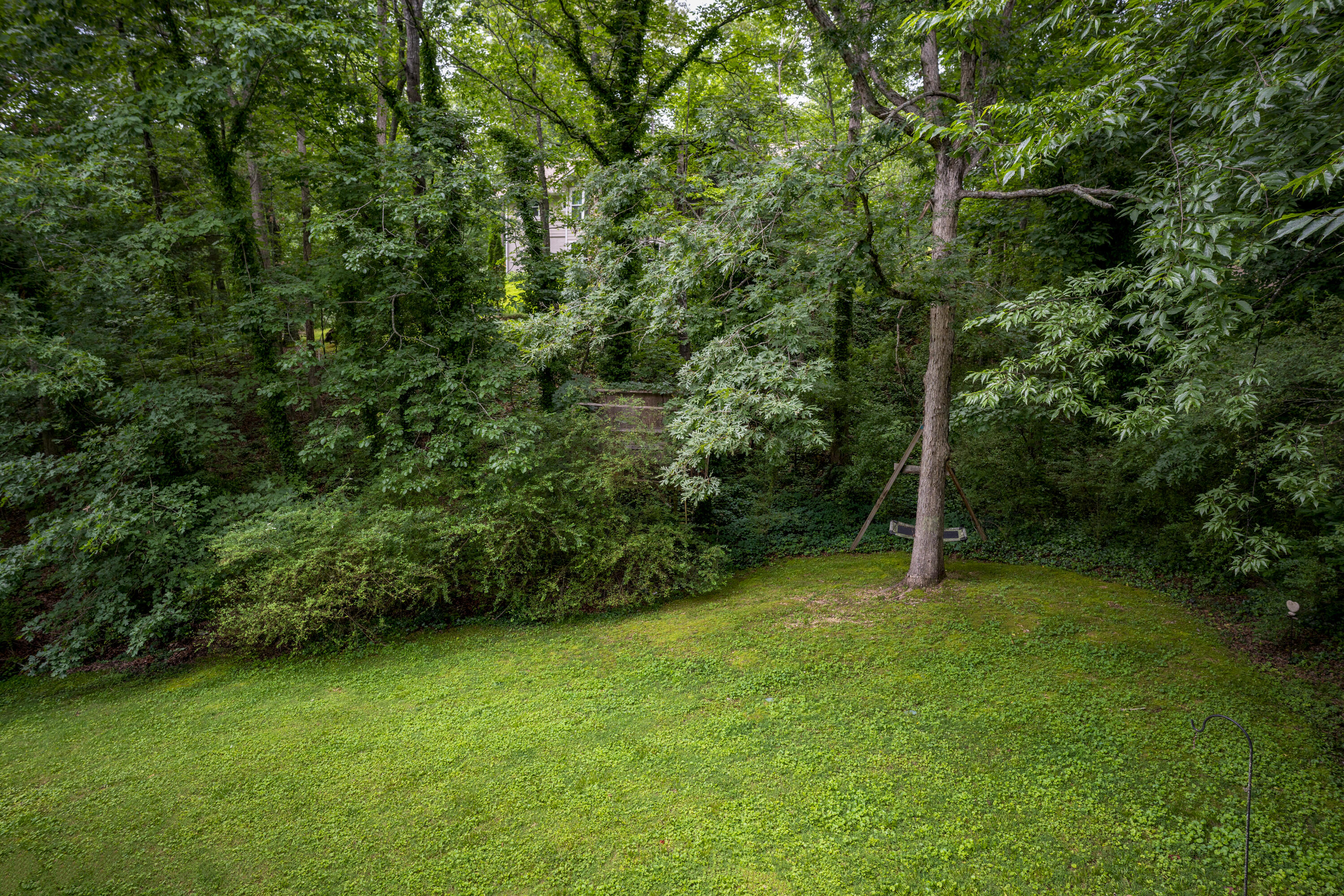 9215 Smokewood Trail