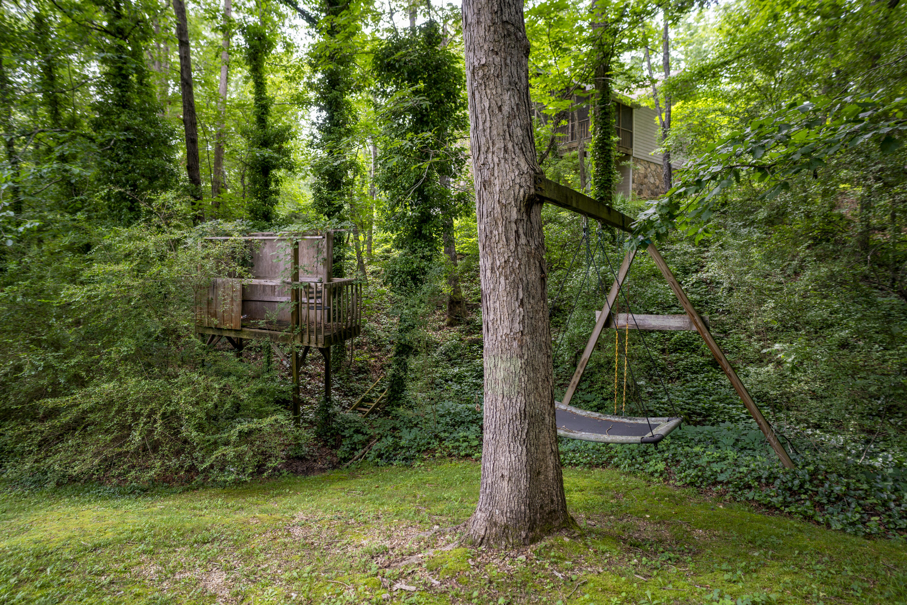 9215 Smokewood Trail