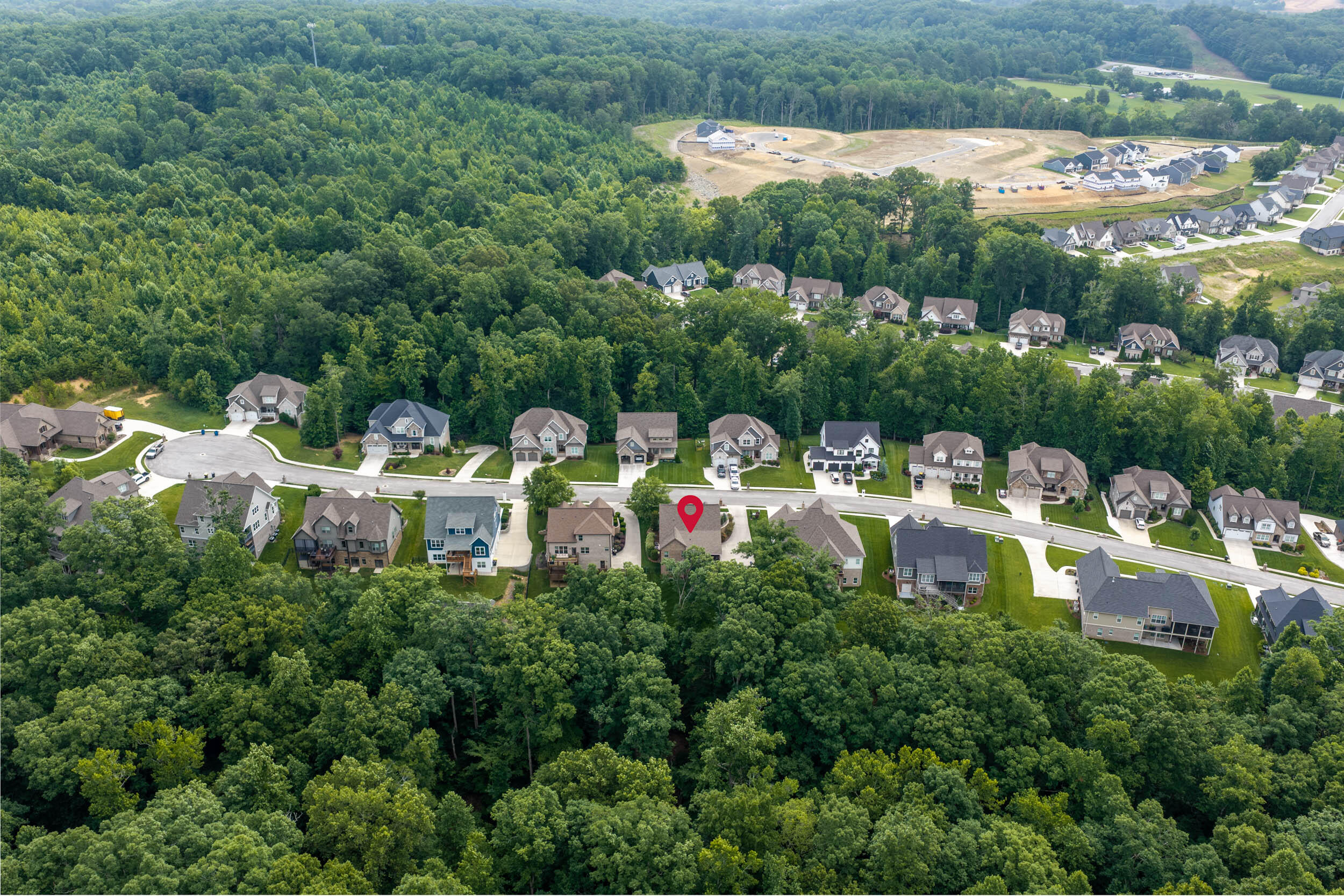 3767 Lacy Leaf Lane