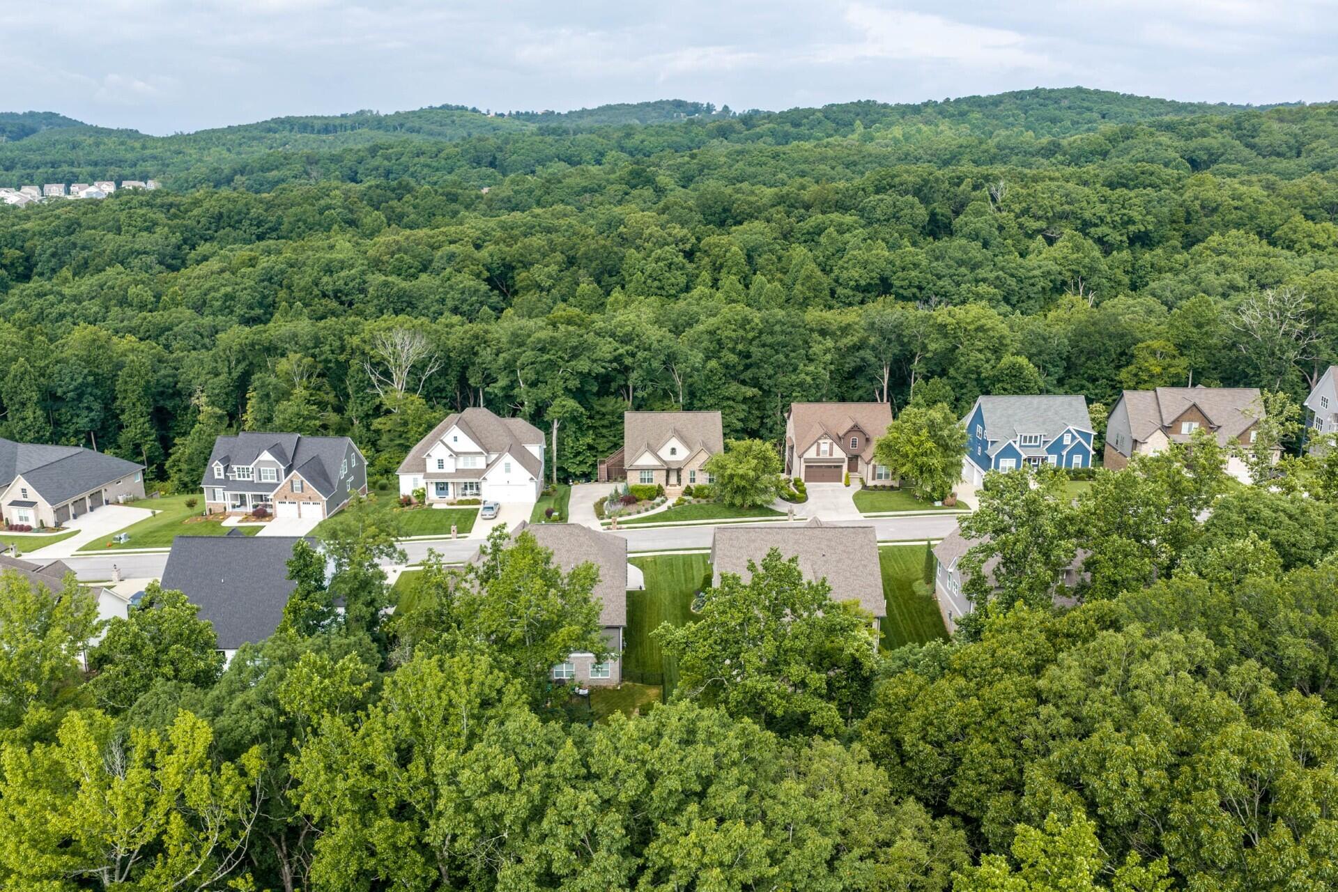 3767 Lacy Leaf Lane