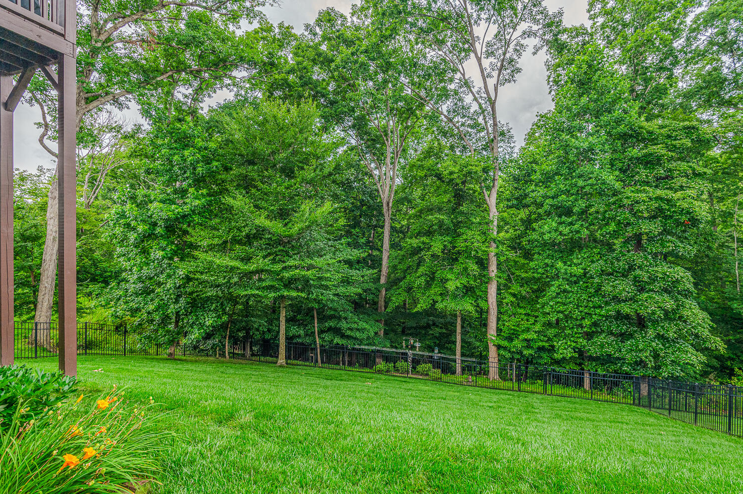 3767 Lacy Leaf Lane