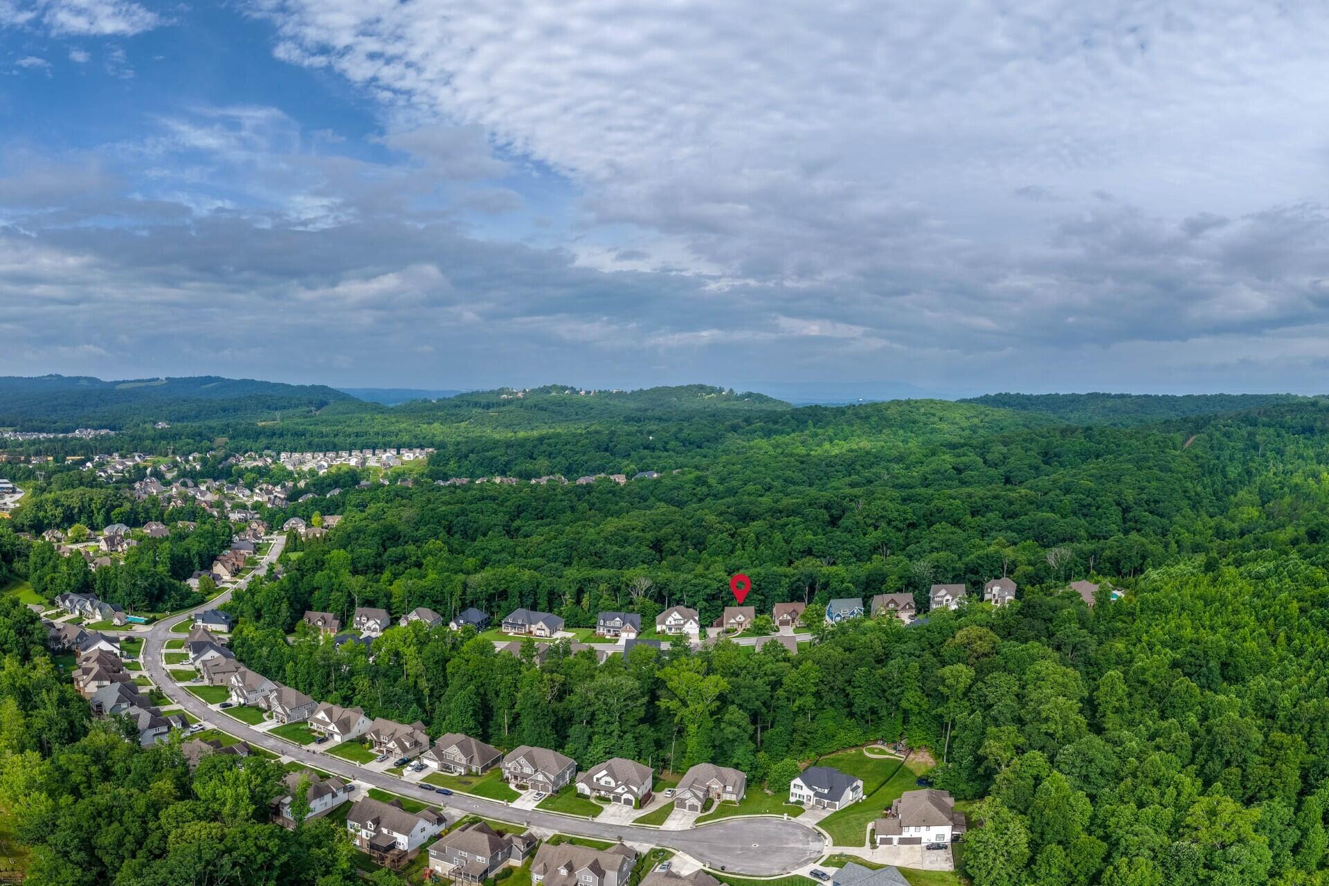 3767 Lacy Leaf Lane