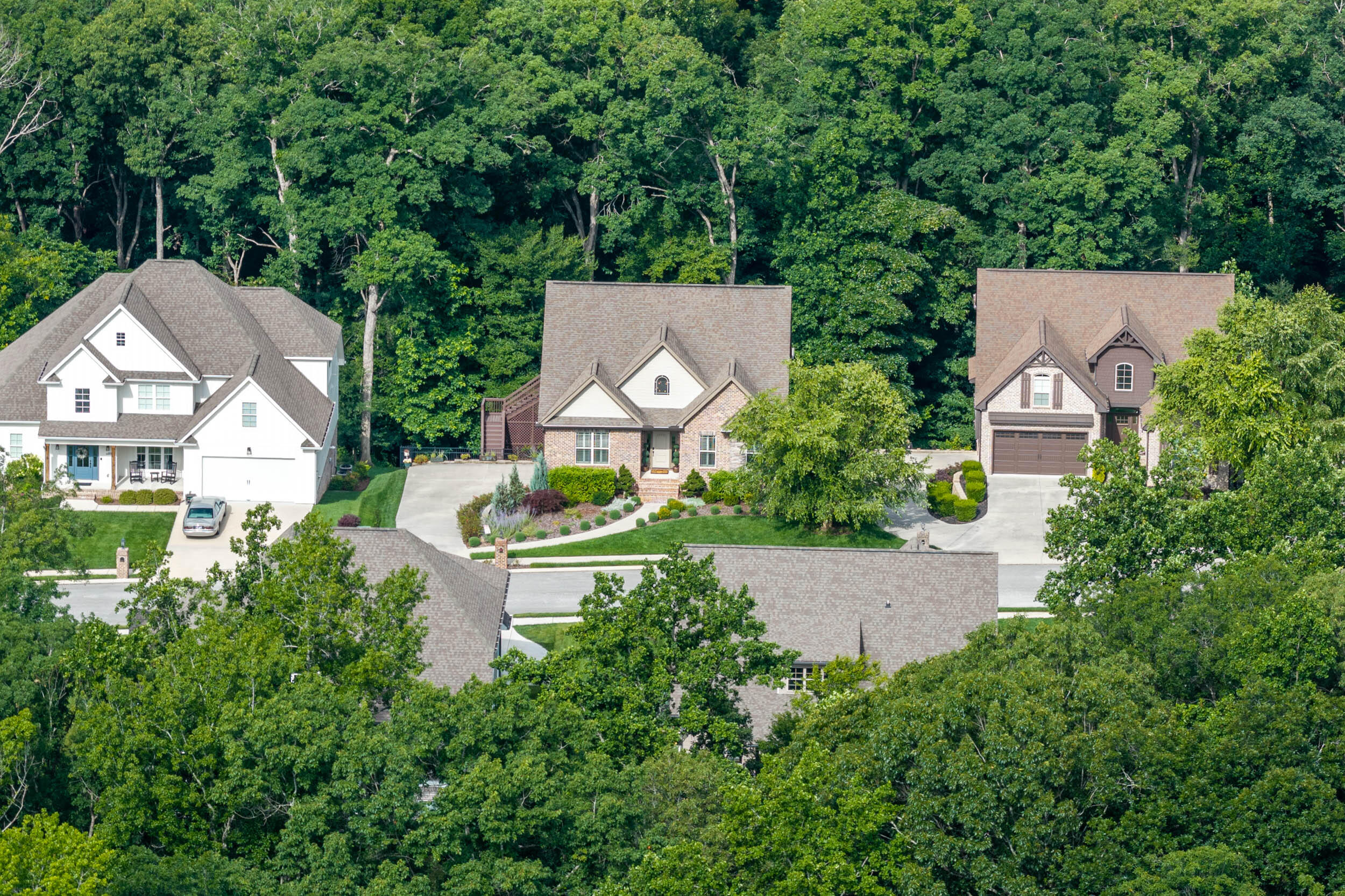 3767 Lacy Leaf Lane