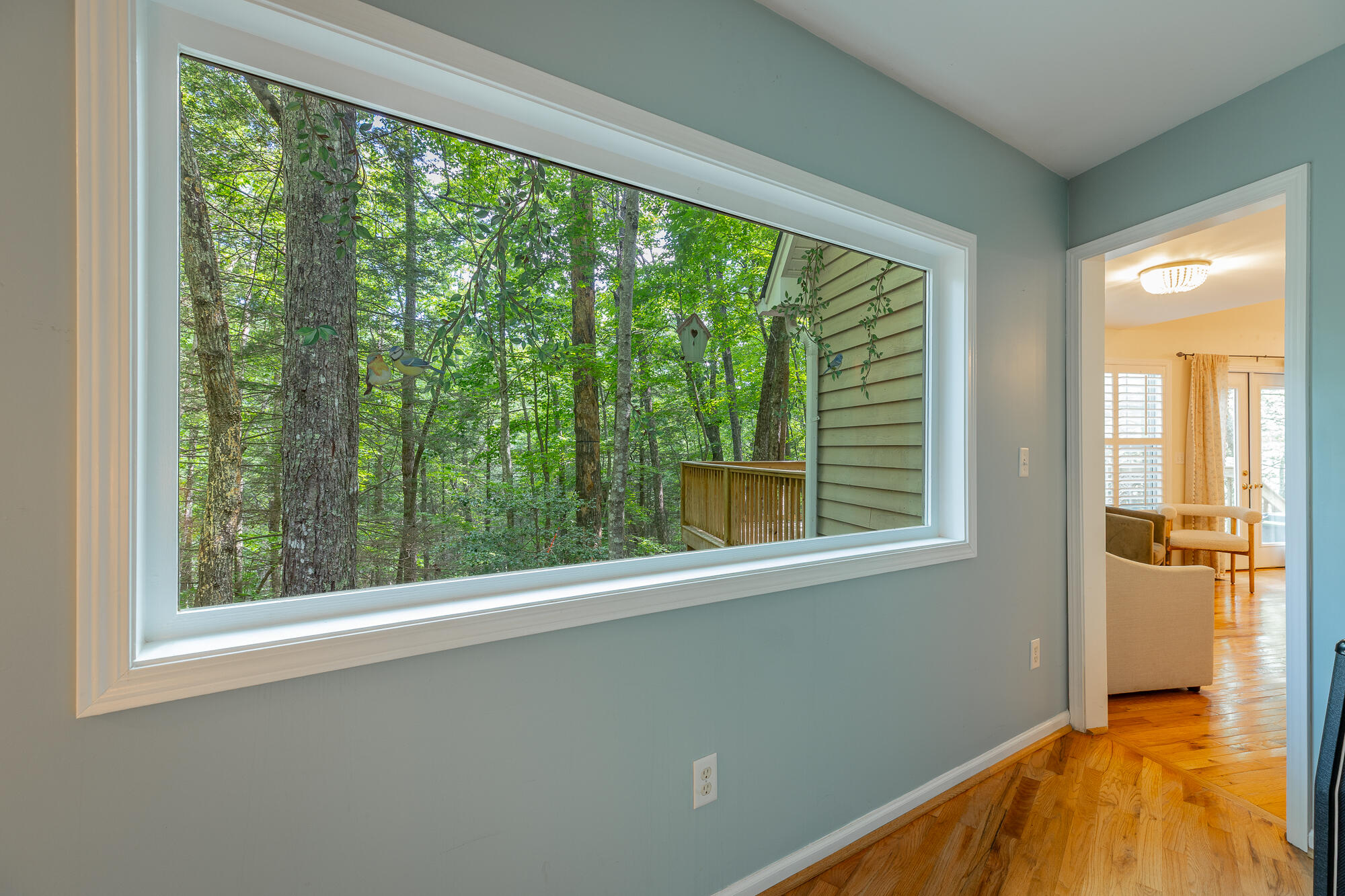 316 Brock Creek Trail