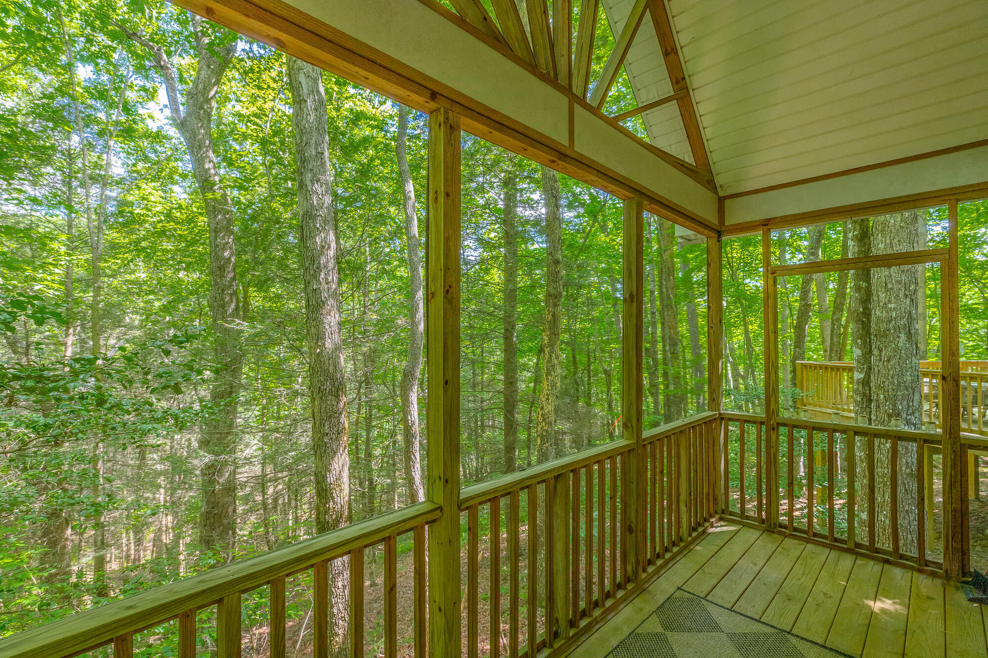 316 Brock Creek Trail