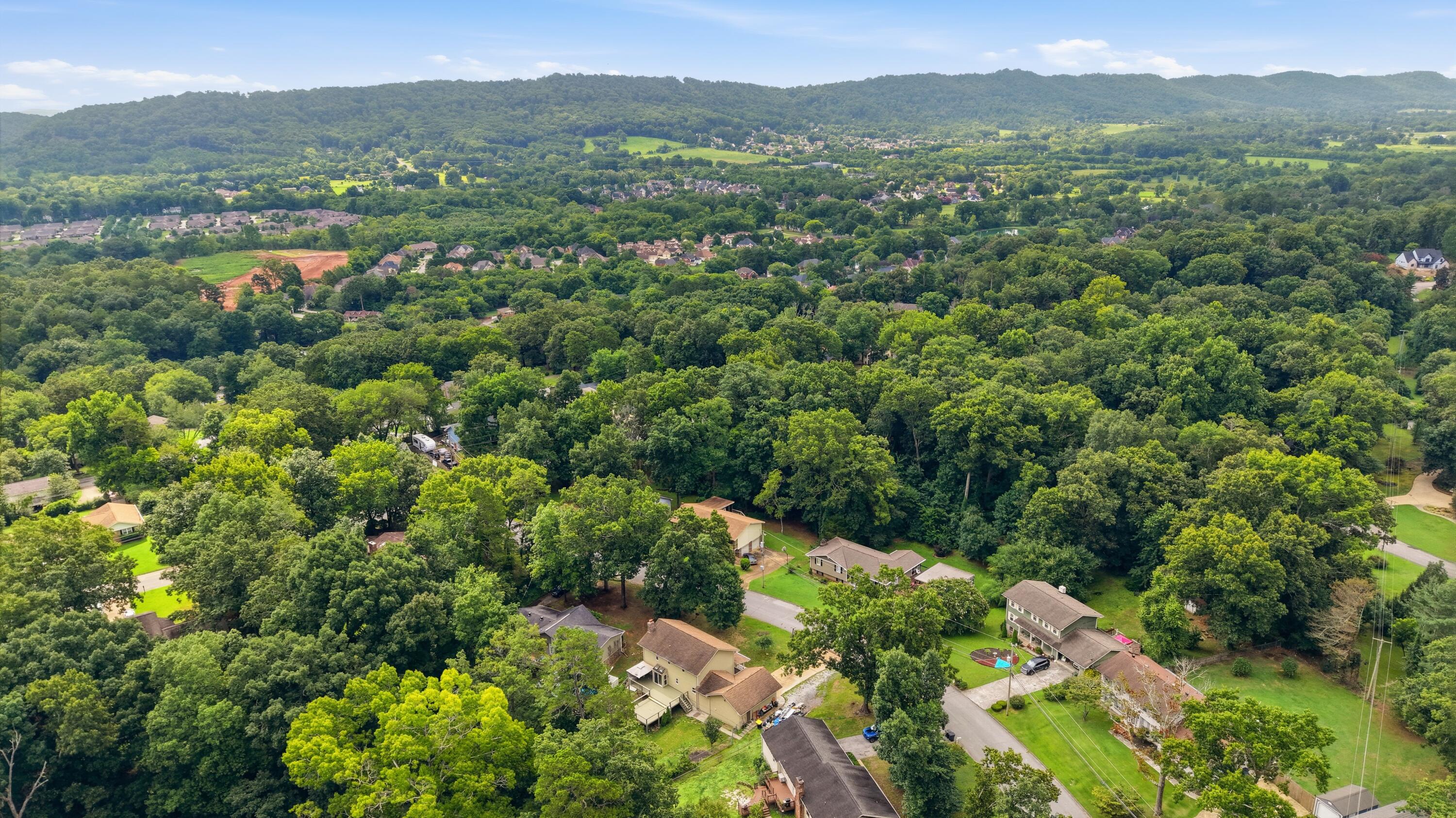 9515 Timberlog Drive