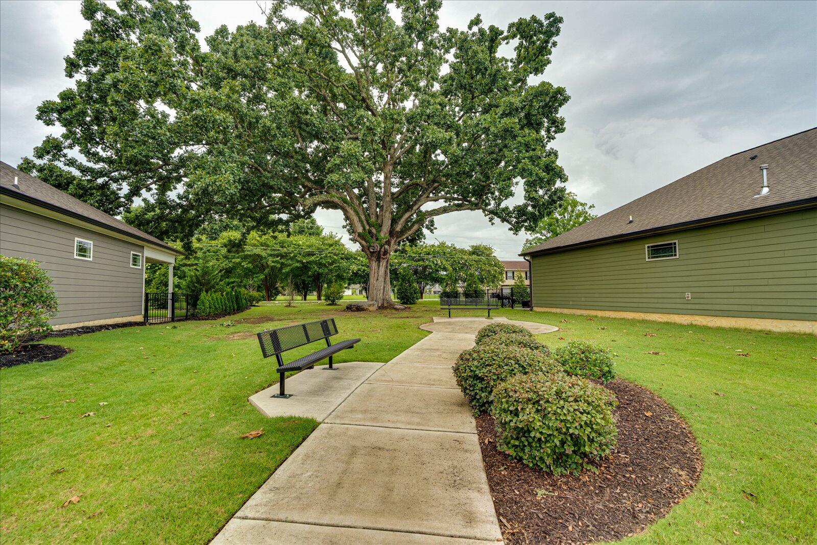 8440 Cherrybark Lane