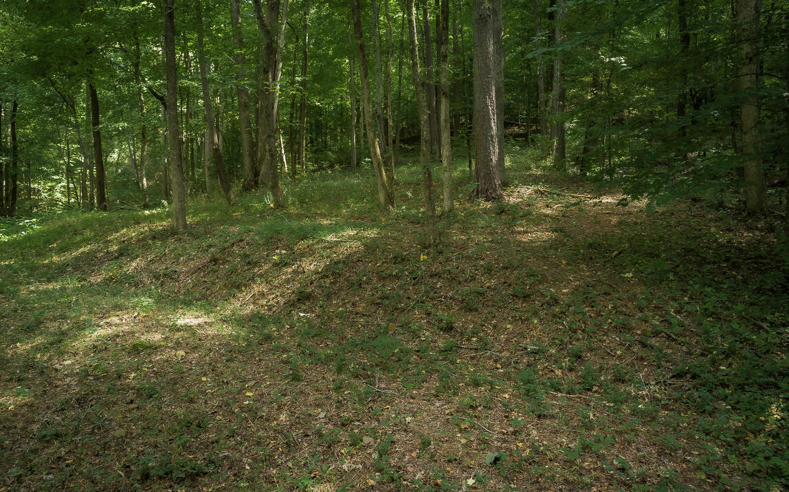 1754 Oakbrook Trail