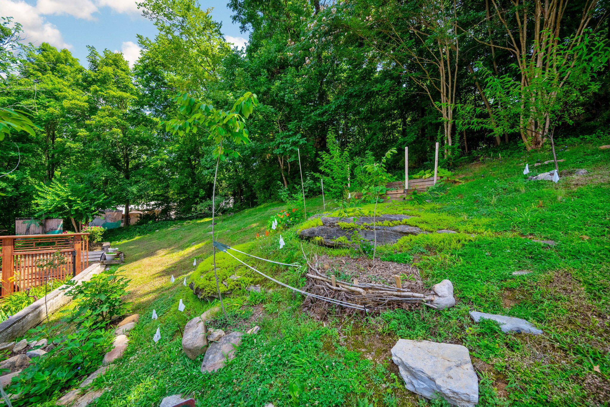 643 W View Road