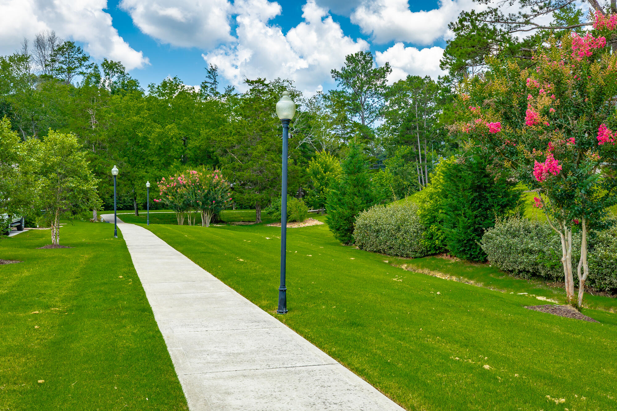 9265 Skyfall Drive