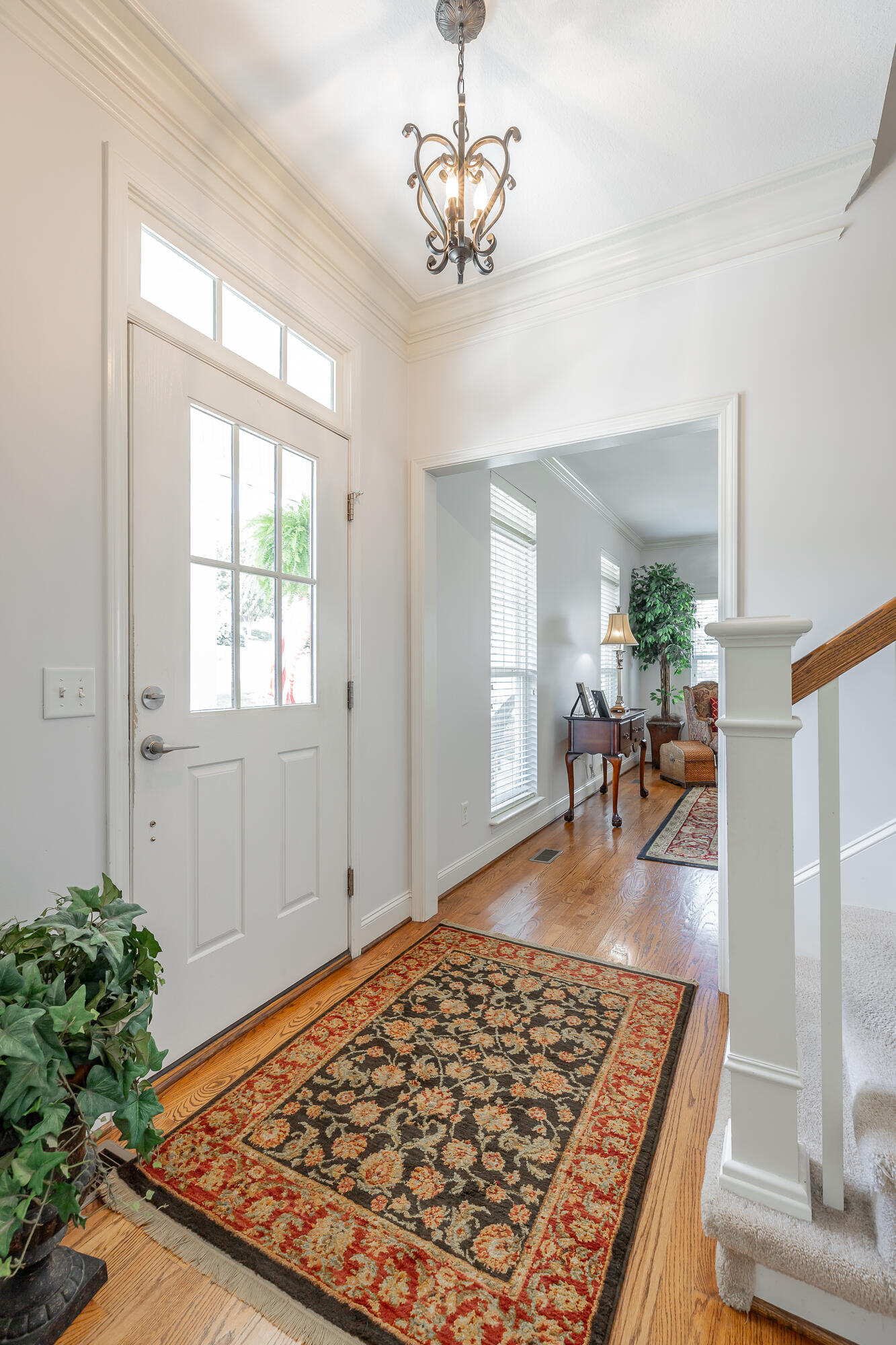 385 Olivia Lane