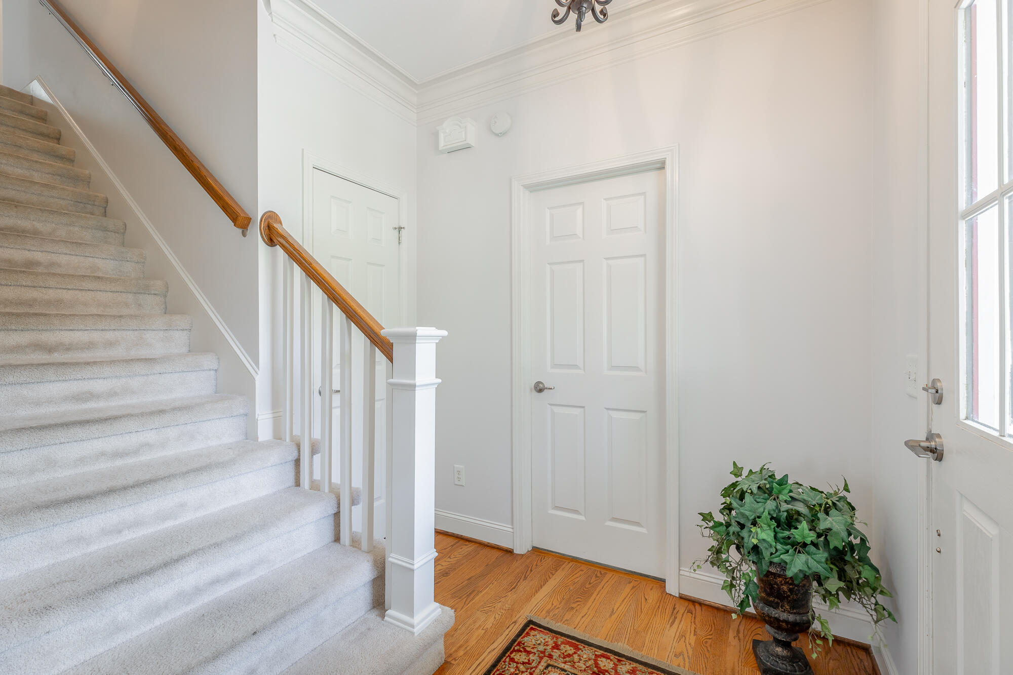 385 Olivia Lane