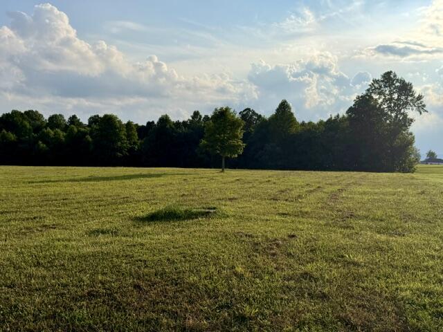 0 Jasper Highlands Boulevard