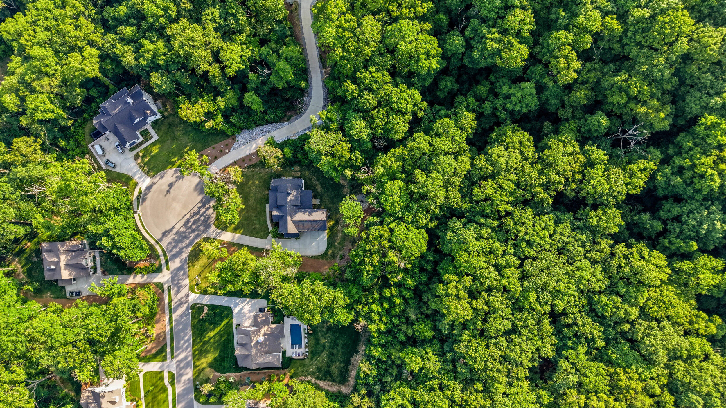 4162 Windtree Drive