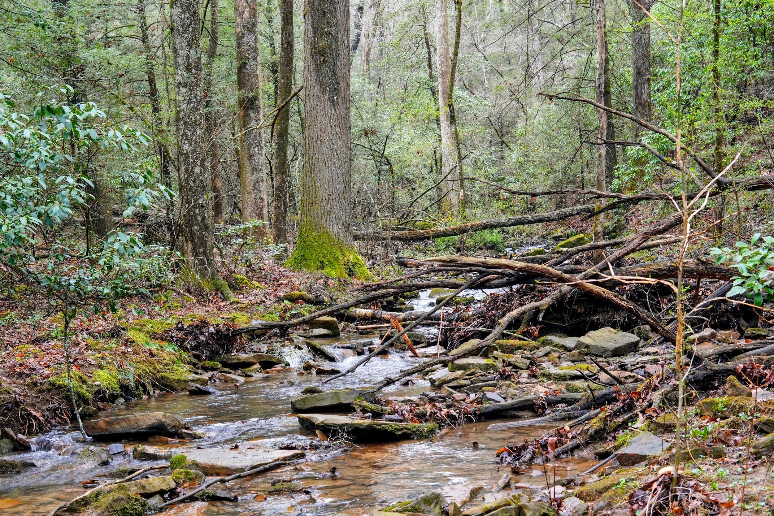 2424 Corral Road