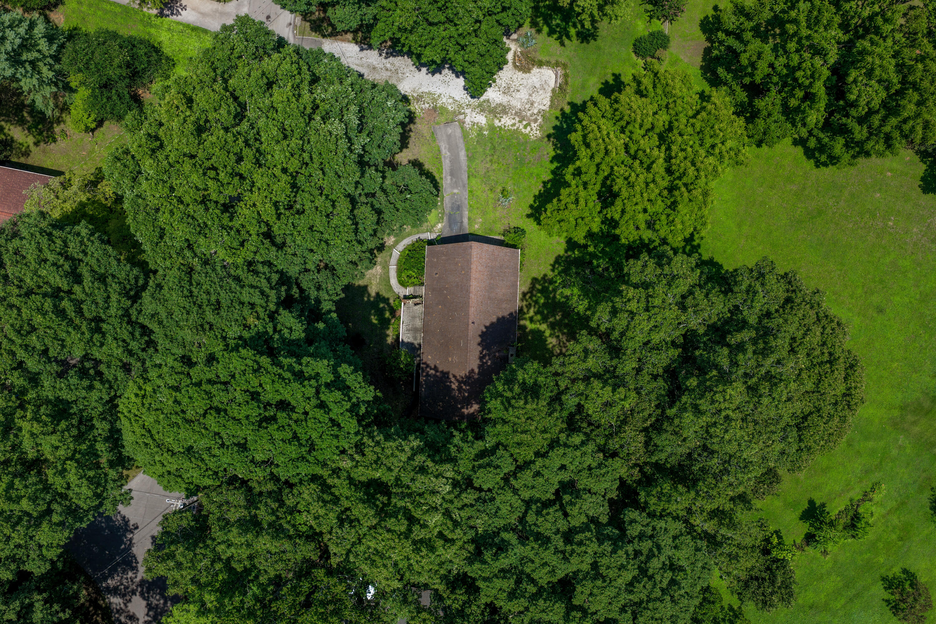 1534 Mcilvaine Drive