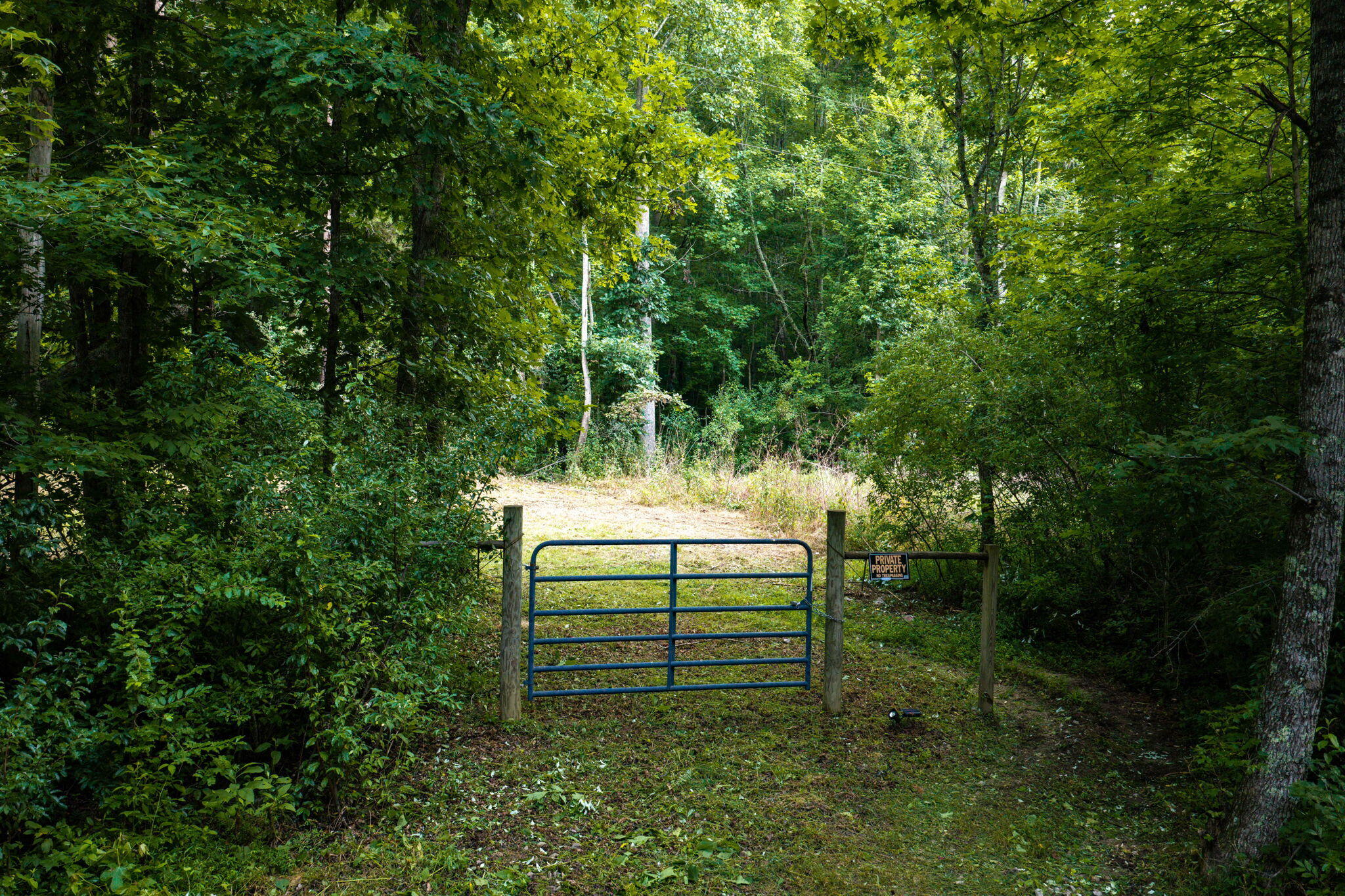 O Green Town Road, 0