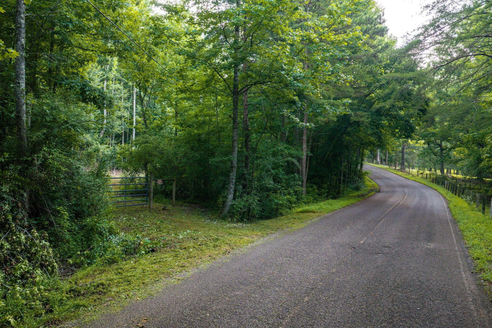 O Green Town Road, 0