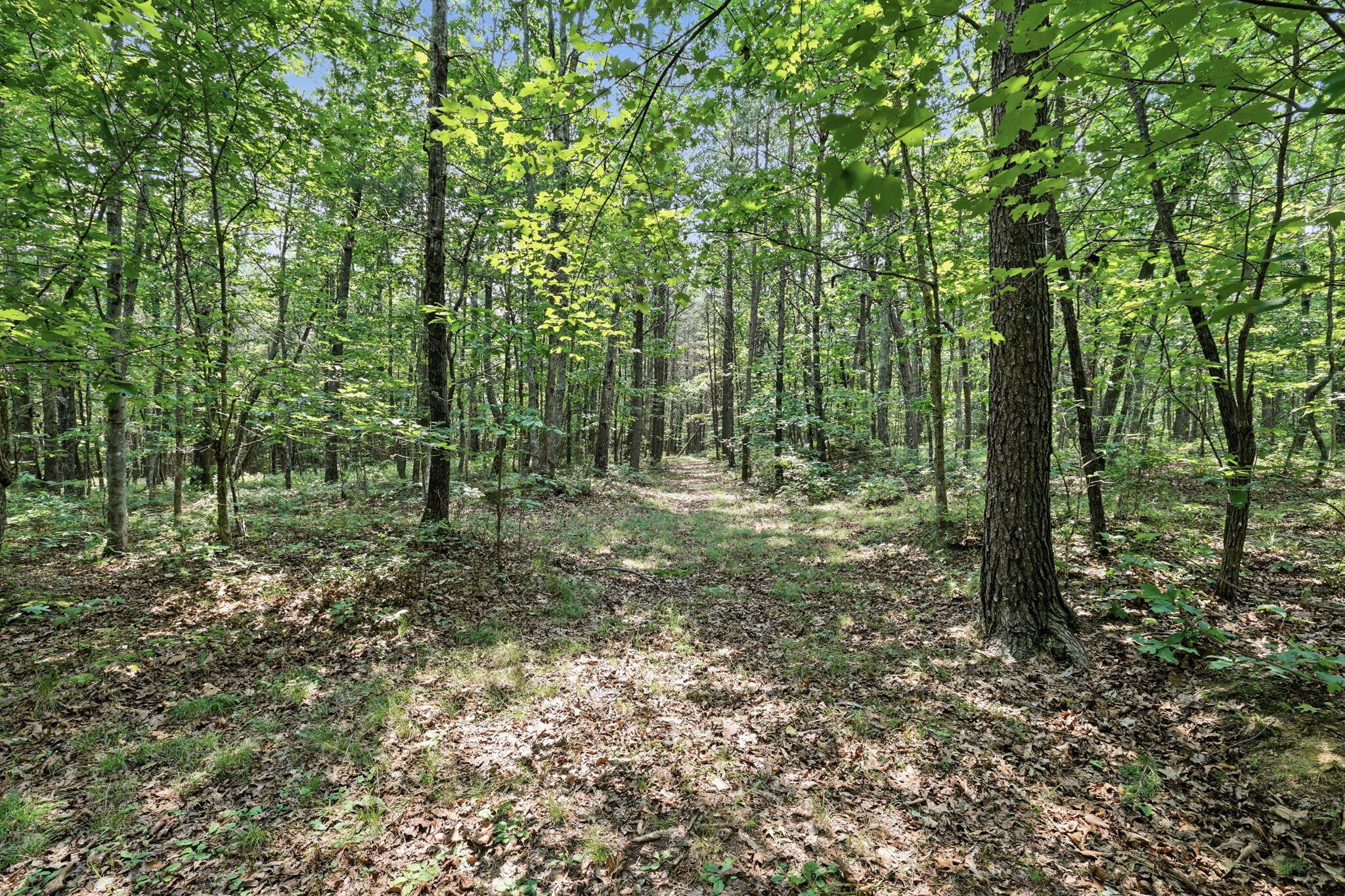 601 Tatum Gulf Road
